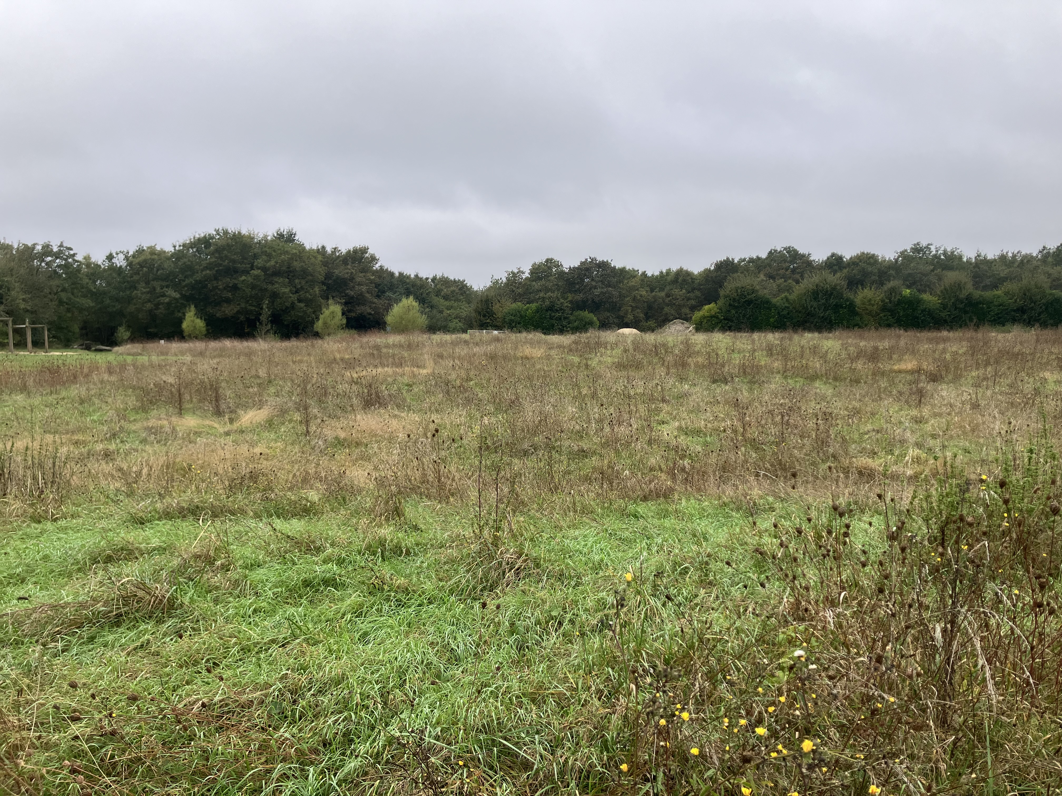 photo du terrain de Puymoyen