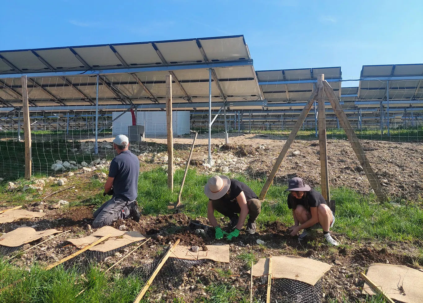 Des sociétaires et des bénévoles plantent des haies devant le parc solaire du Mouly