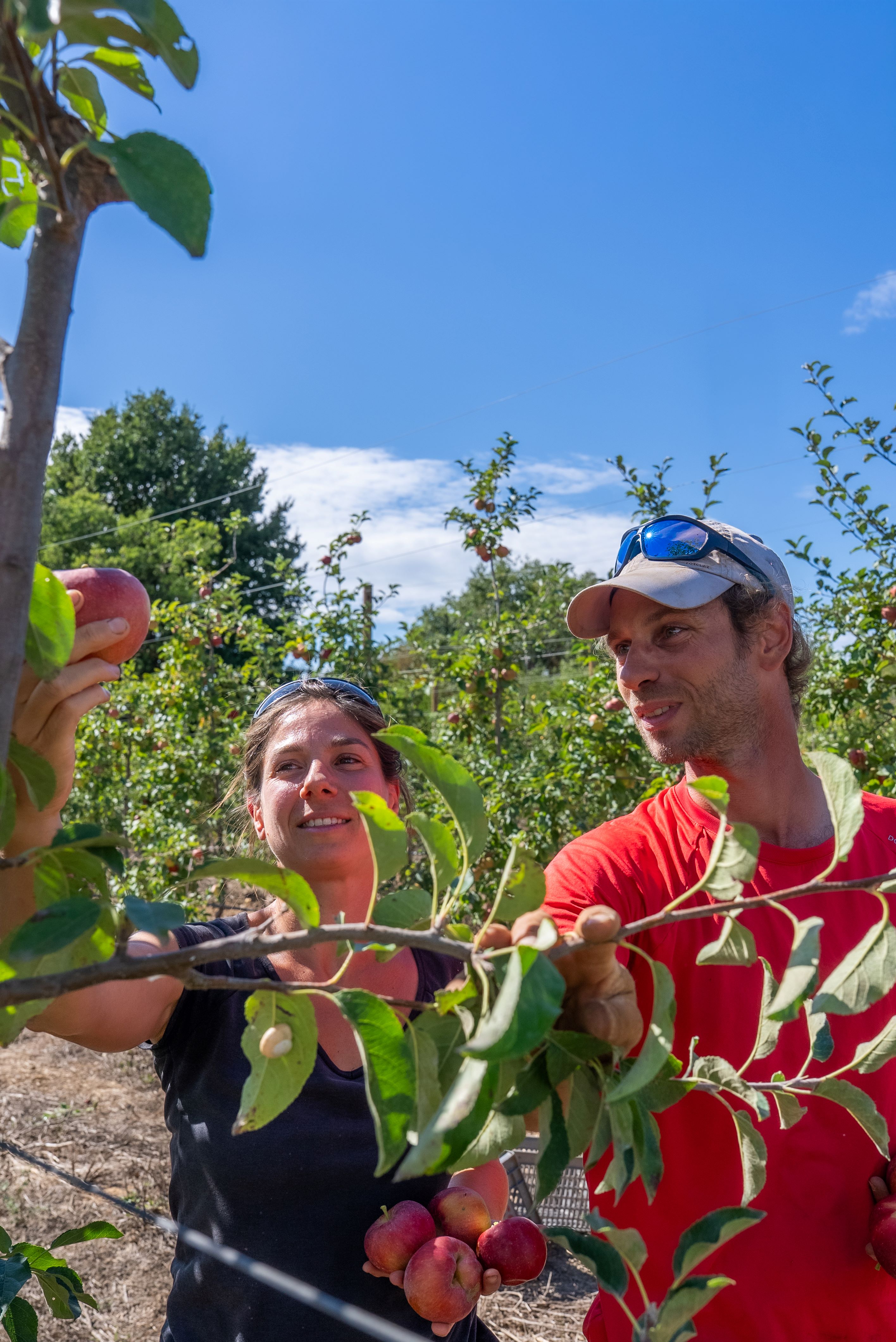 Les Canotiers, des fruits et légumes en maraîchage bio passé chez Enercoop en électricité