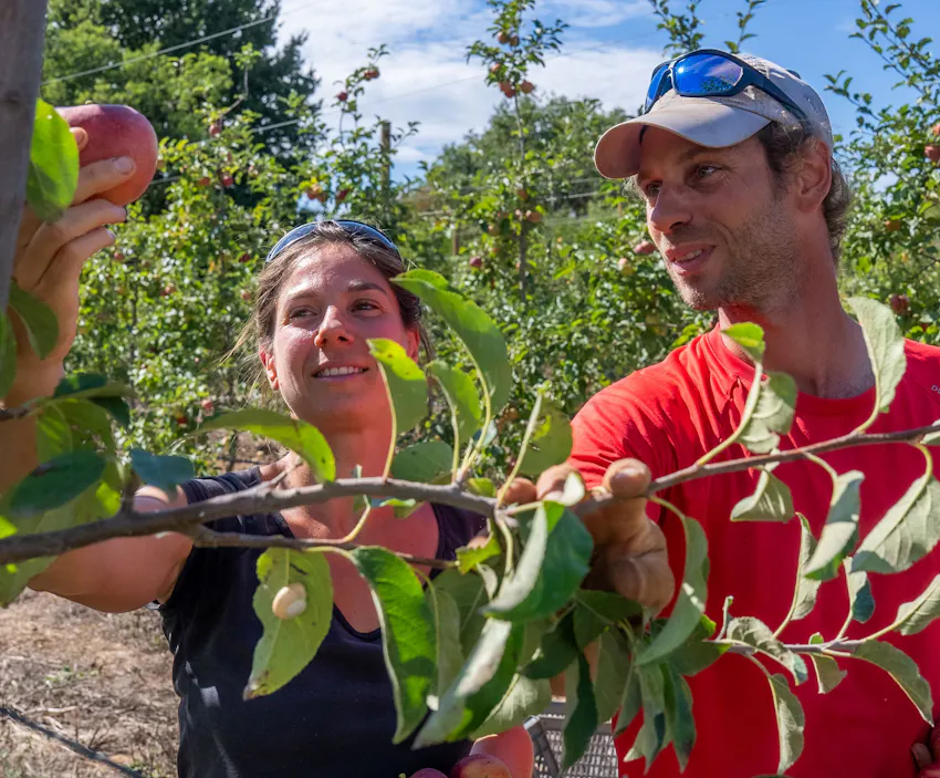 Ils ont choisis Enercoop : Les Canotiers, des fruits et légumes à l'énergie solaire Les Canotiers, des fruits et légumes en maraîchage bio passé chez Enercoop en électricité