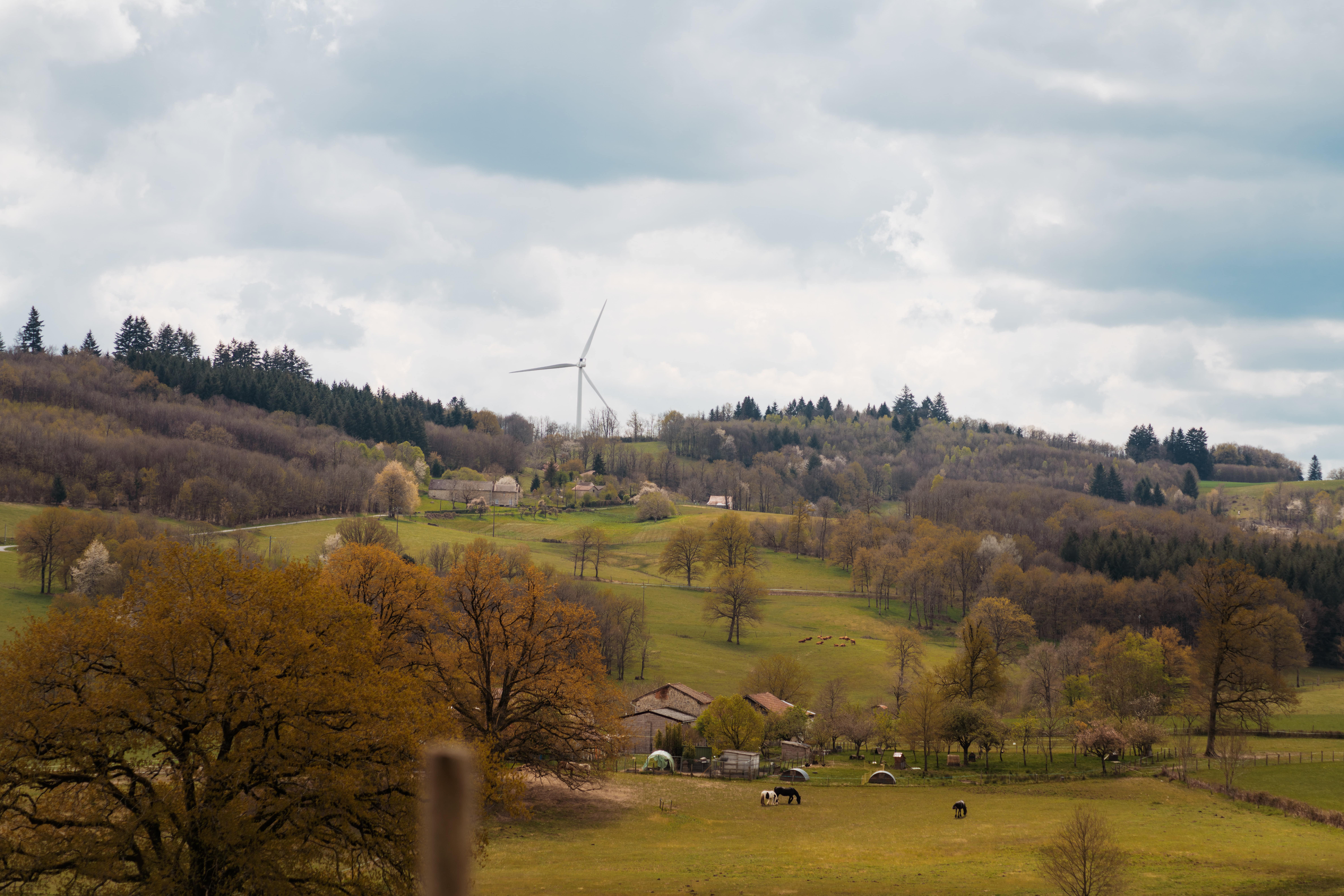 Photovoltaïque au sol - Rilhac-Lastours - crédit photo : Lycia Walter - Enercoop Nouvelle-Aquitaine