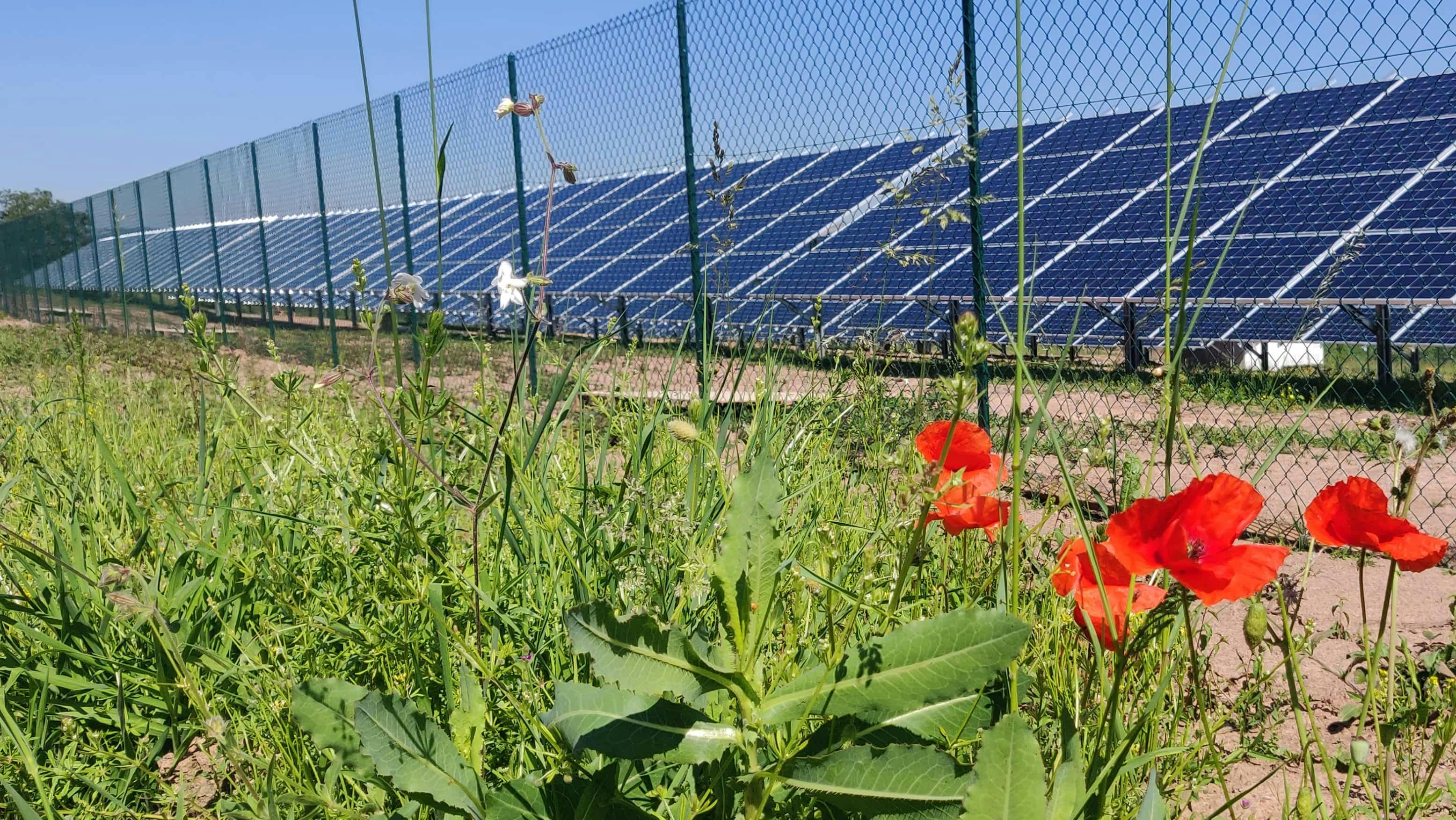 Vue du parc solaire de Belmont-sur-Rance dans l'Aveyron