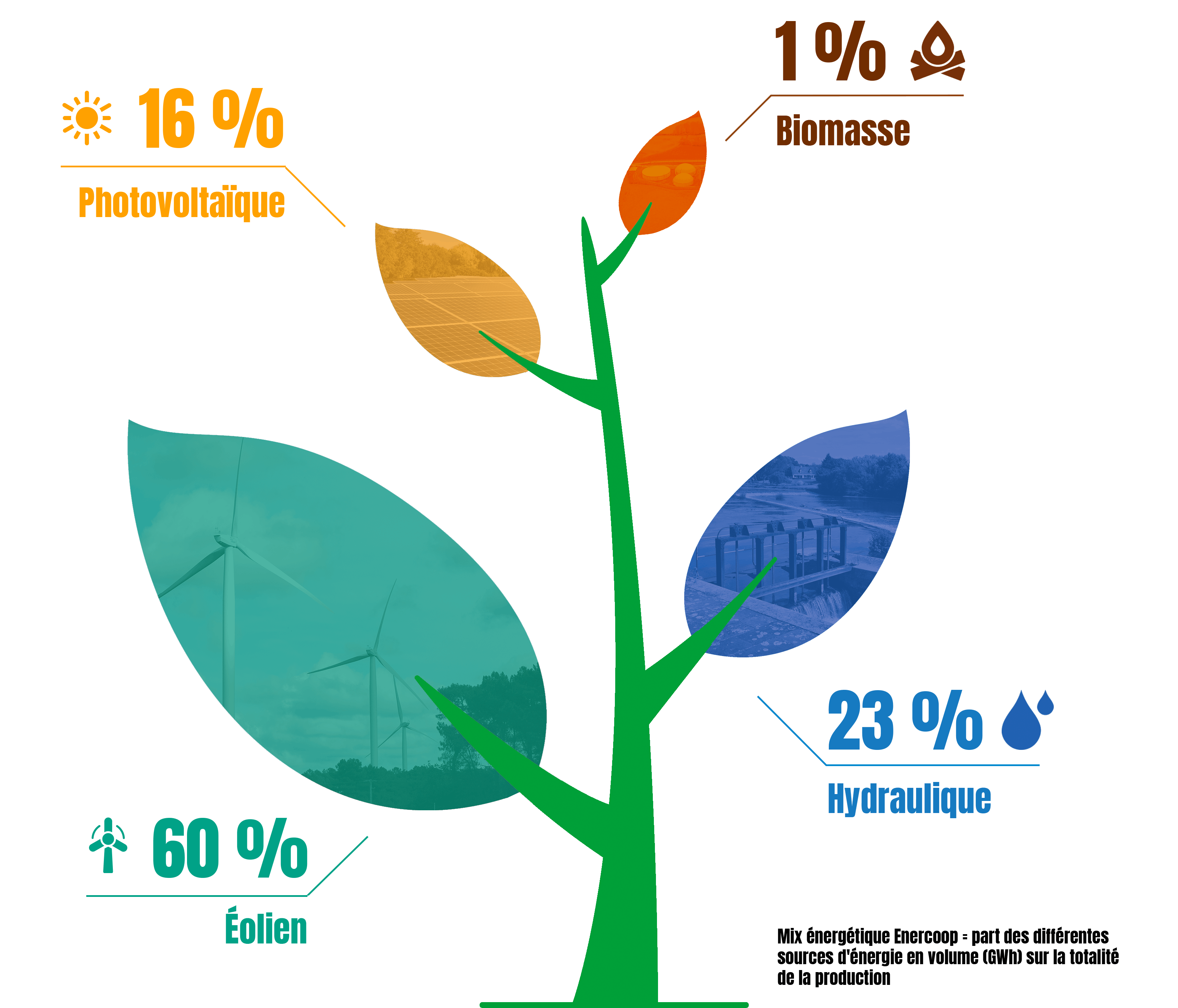 Enercoop - énergie renouvelable - électricité verte - producteurs - énergie citoyenne - éolien - hydrauliqque - biomasse