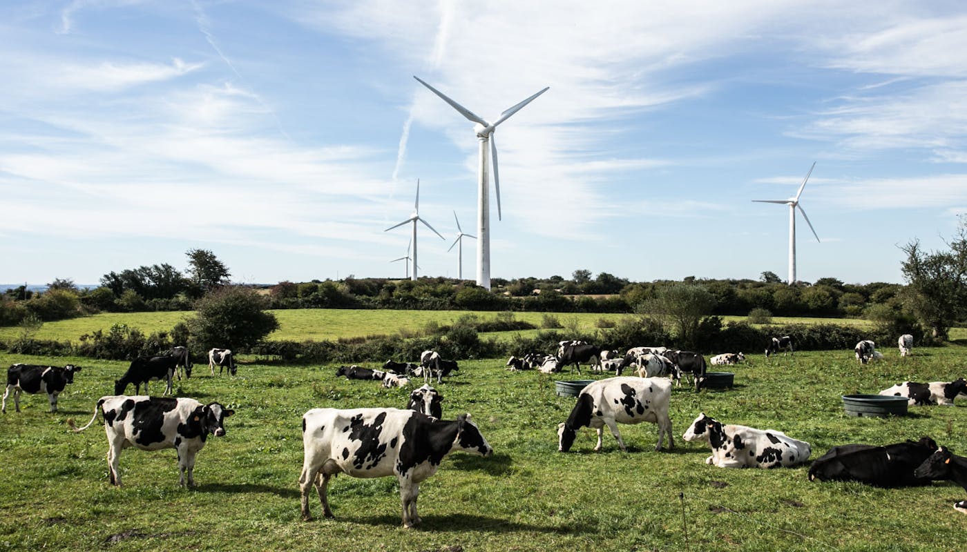 Enercoop - client - production - électricité - éolien