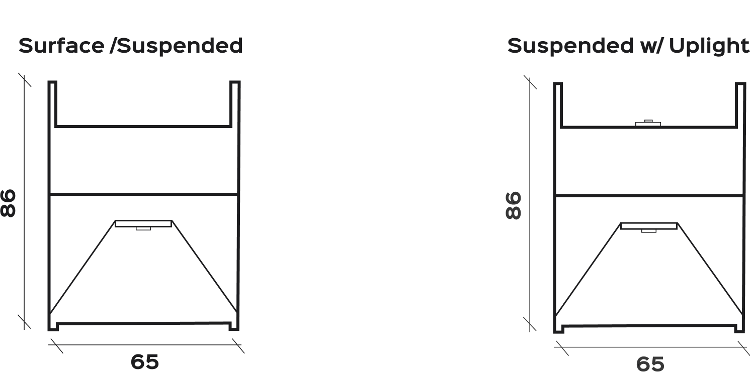 cross section