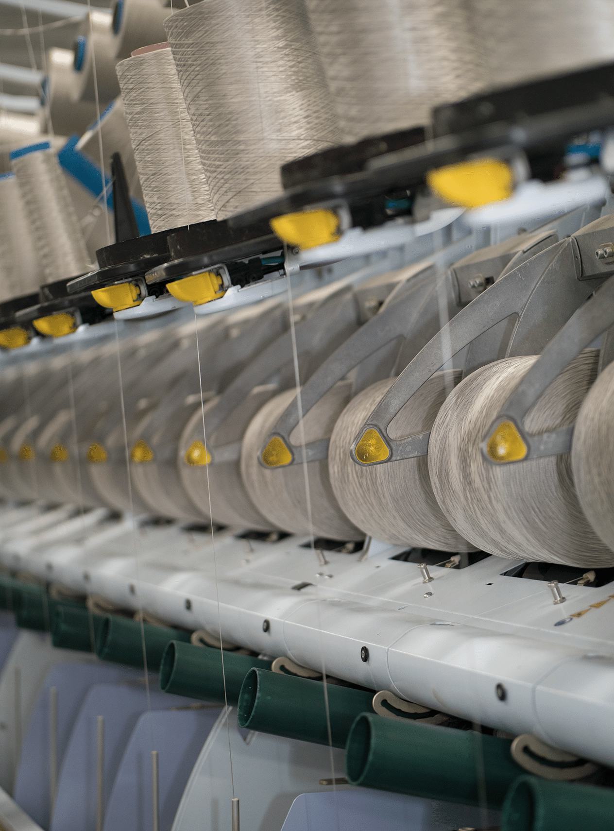 ef plant artistic img