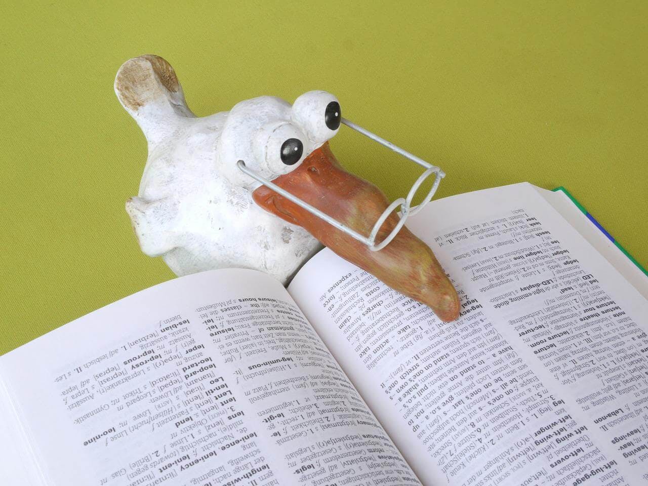 Toy duck with glasses and a book.