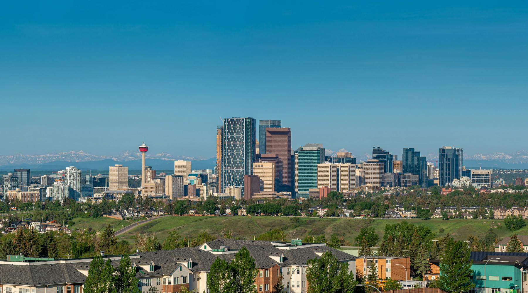 Calgary's skyline with houses in the foreground