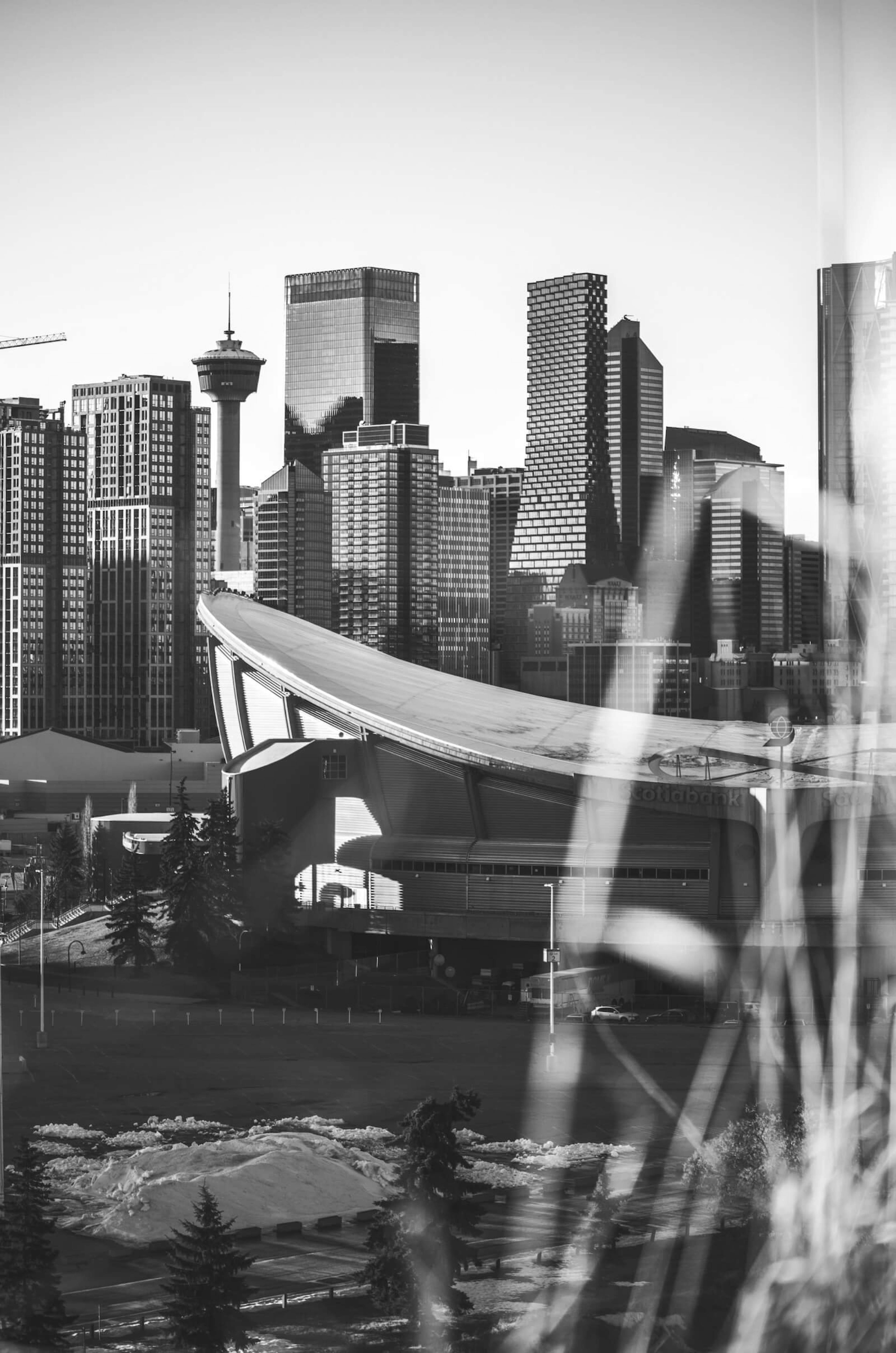 Calgary City skyline in greyscale