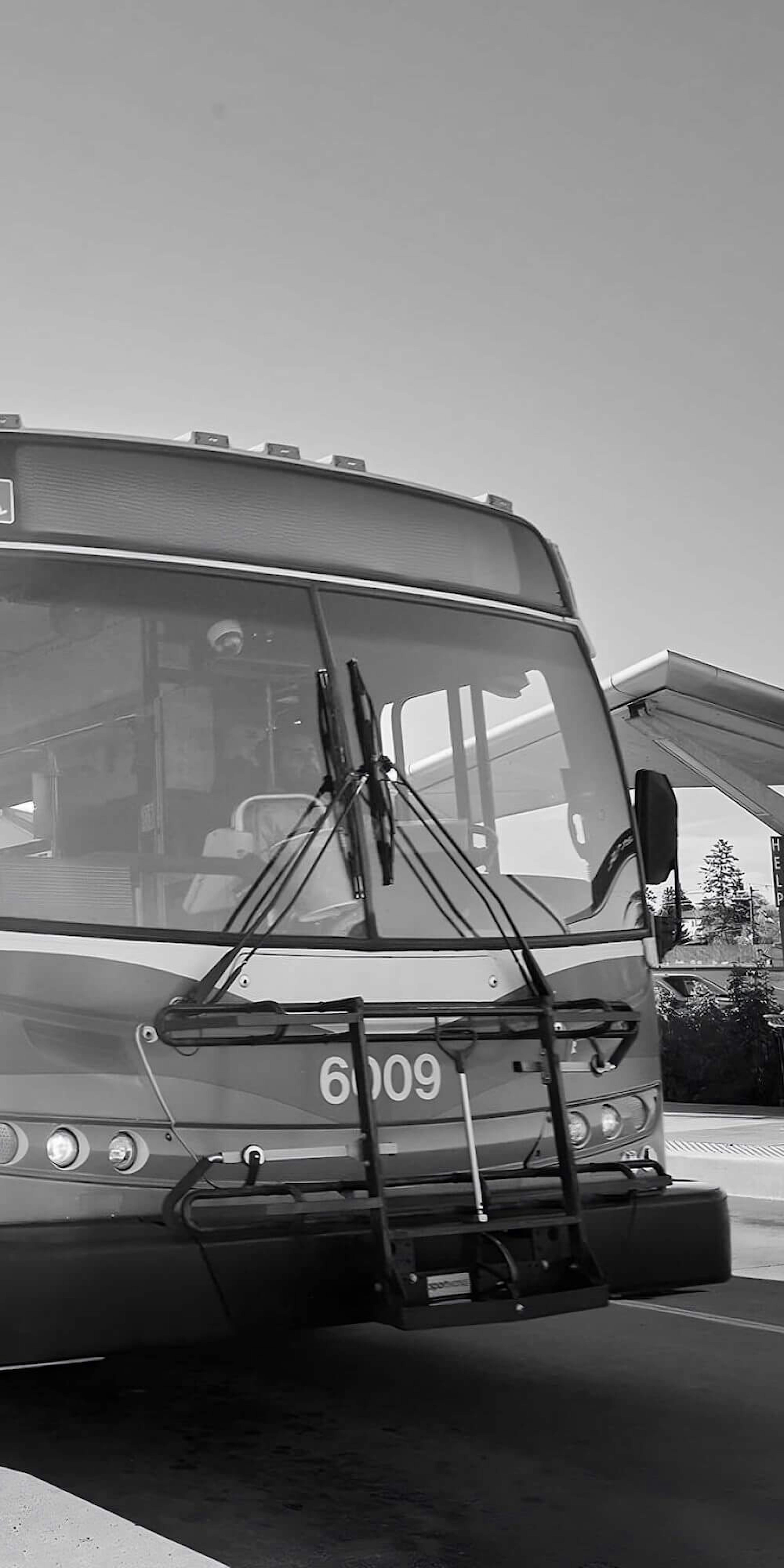 Double-length Calgary transit bus, parked at a transit station, in black and white