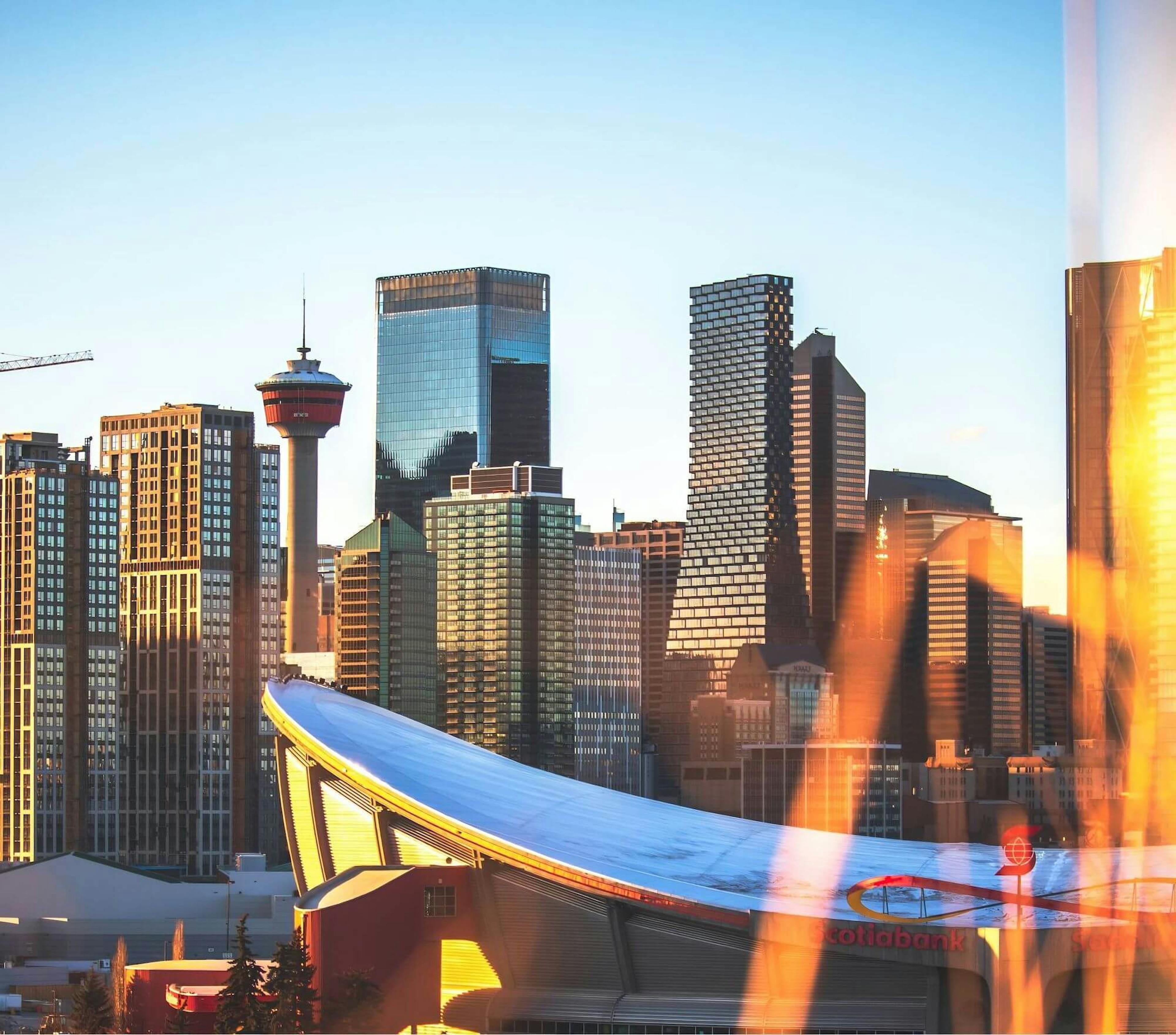 Calgary skyline under a blue sky, highlighting the Calgary Tower and the Saddledome