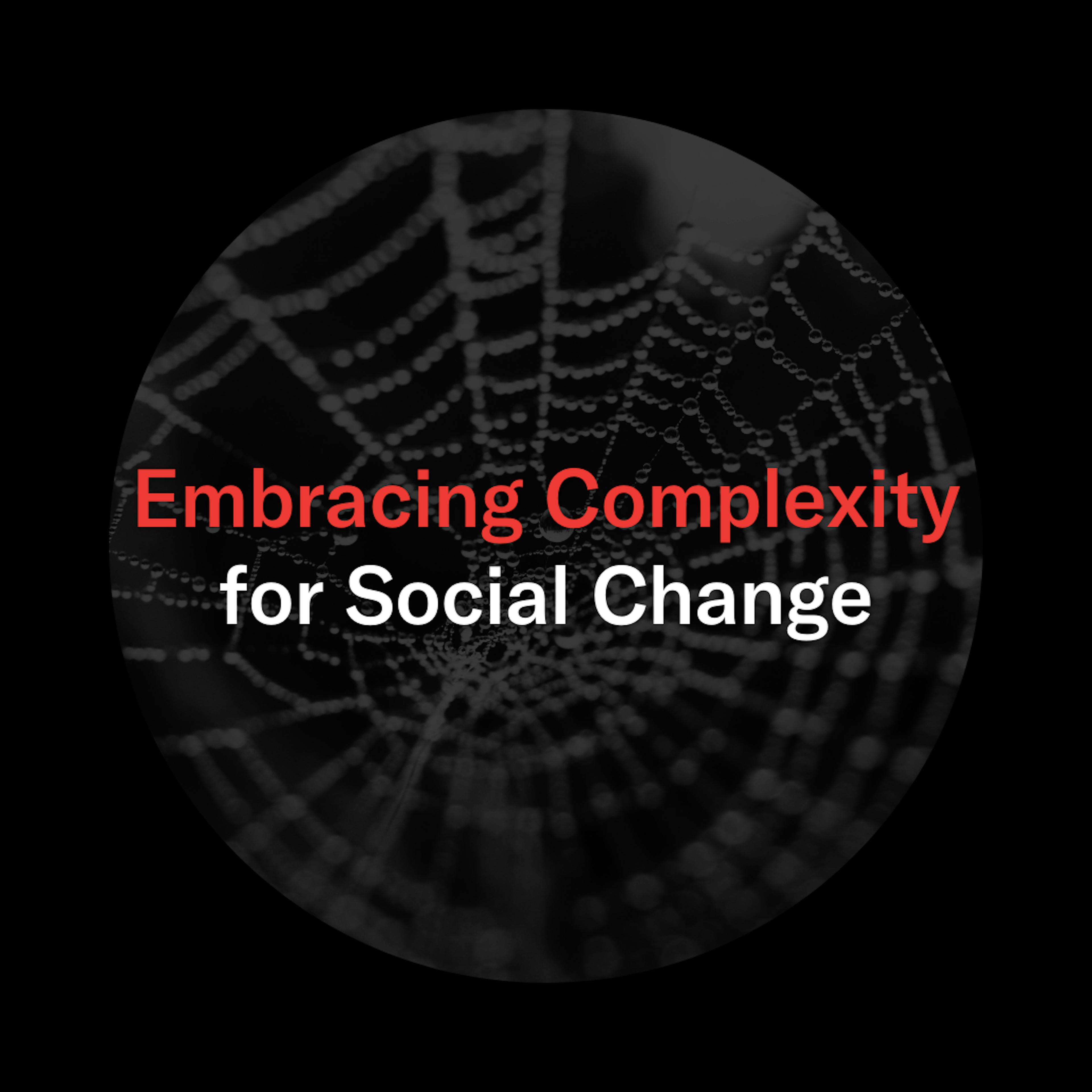 A black and white spiderweb with the text 'Embracing Complexity for Social Change' on top of it.