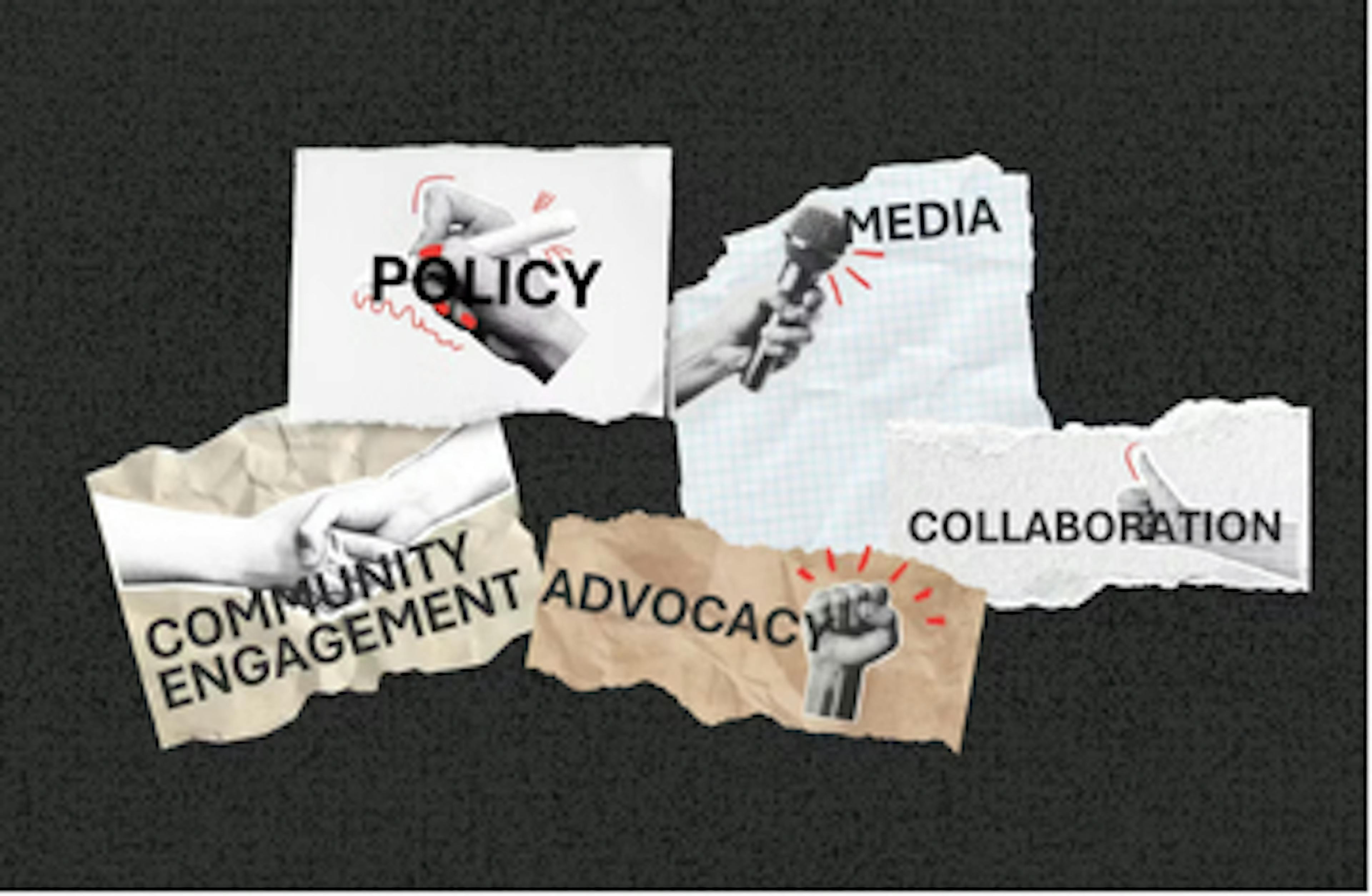 policy,  media, community engagement, advocacy and collaboration
