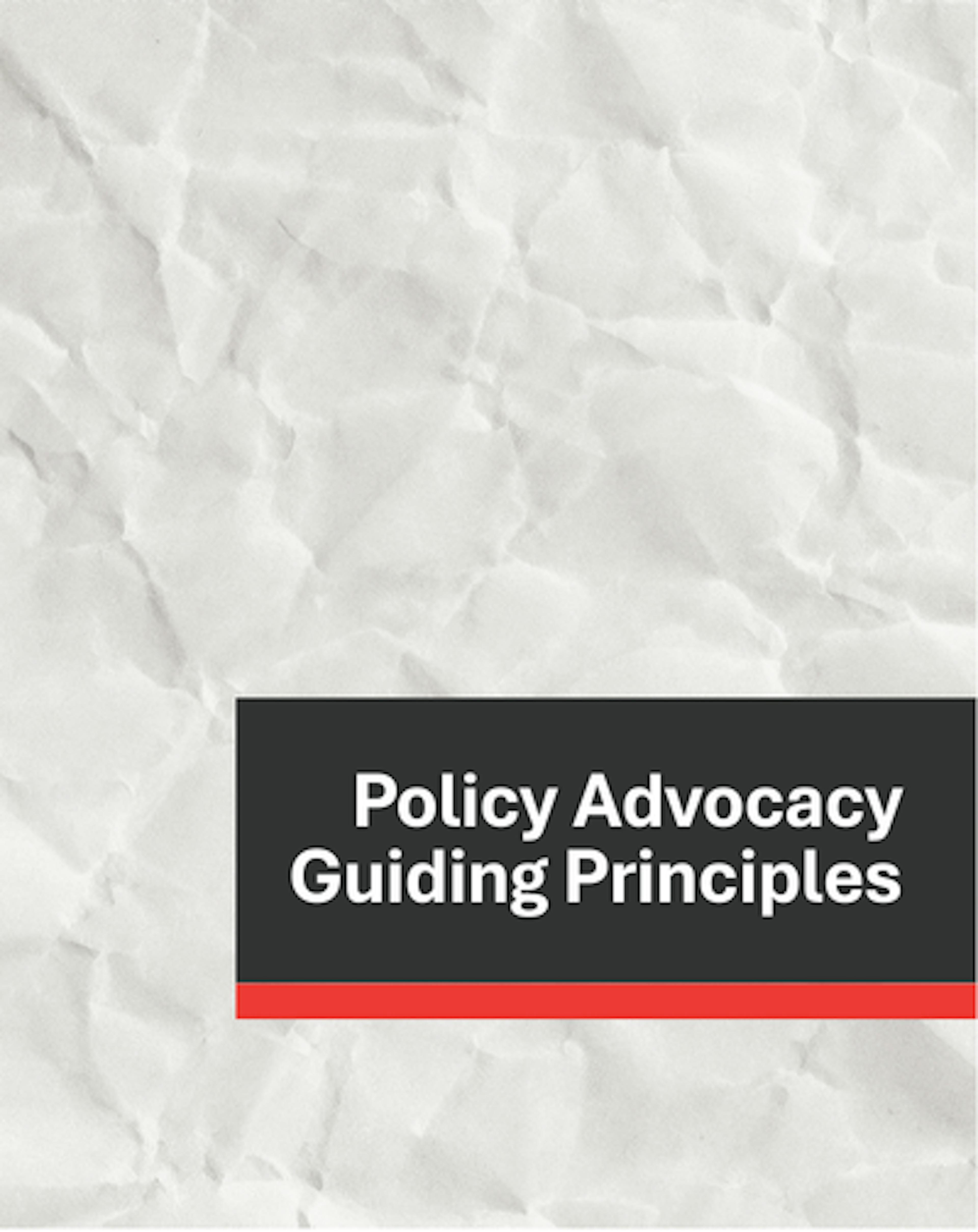 Gray background with white text "Policy Advocacy Guiding Principles" and a red underline
