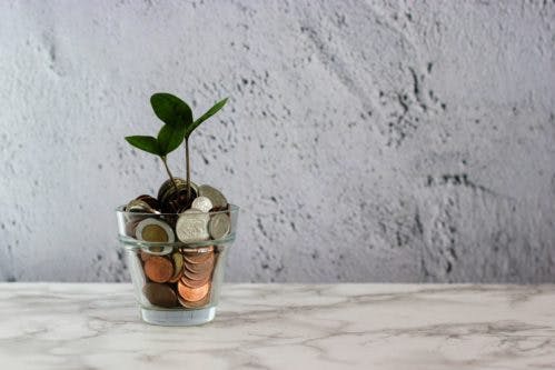 Plant pot with coins and a seedling growing