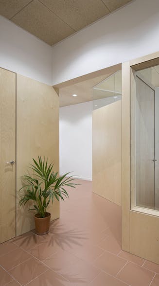 detalle pasillo con planta y puertas madera- proyecto PRI