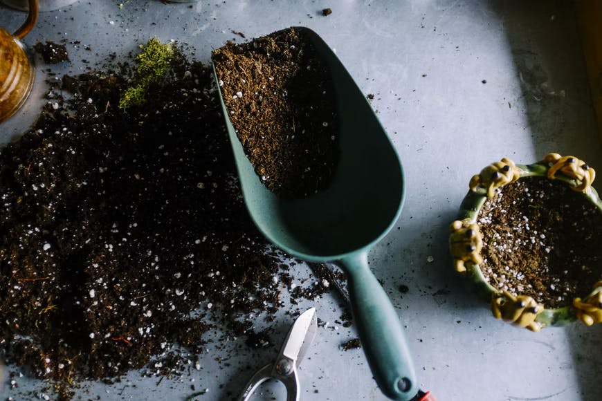Plant care dirt and shovel