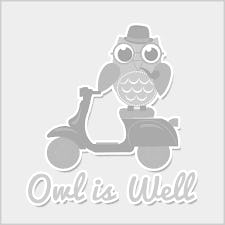 owl-is-well