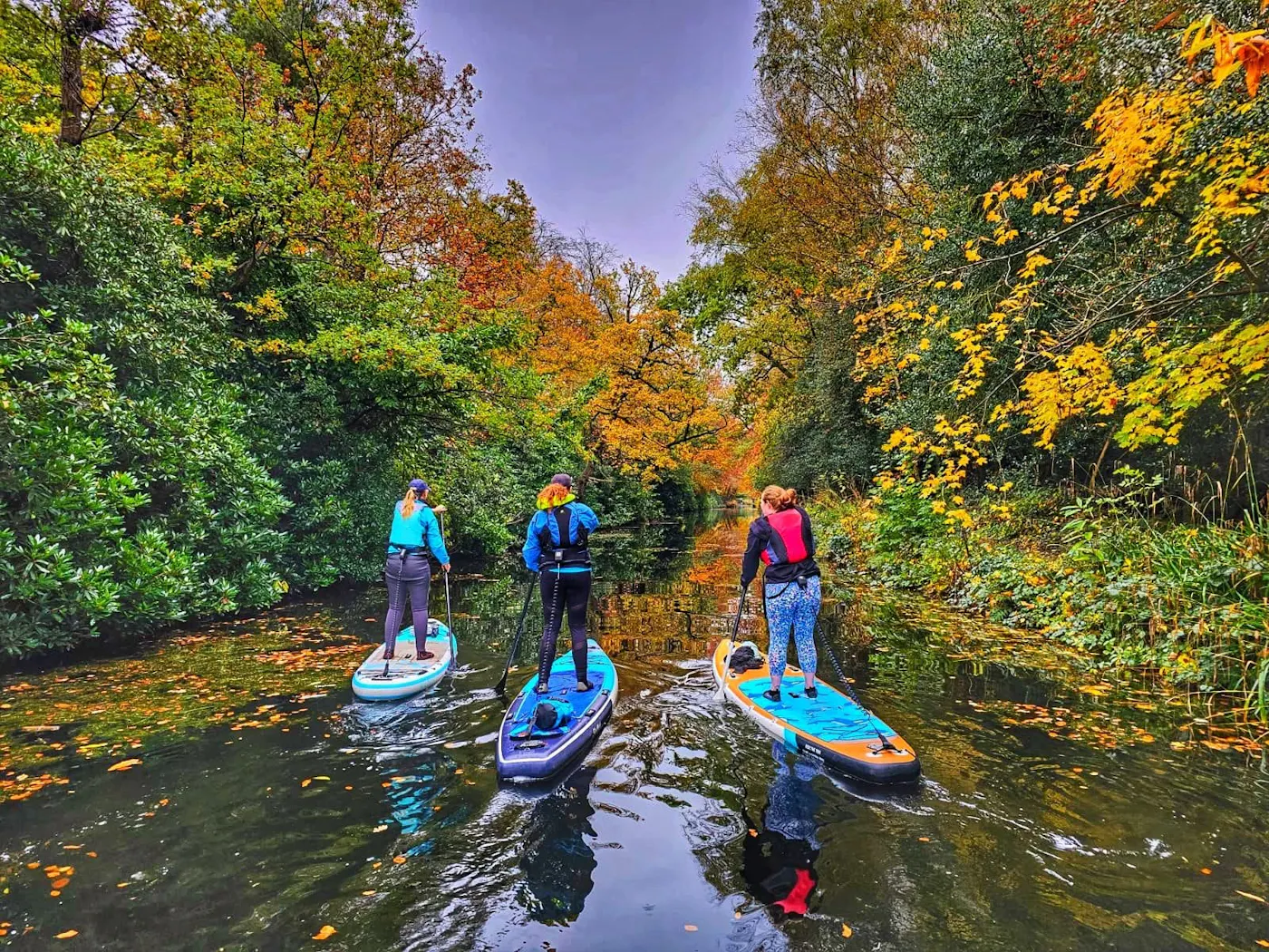 Three paddleboarders on a tree-lined stretch of canal in autumn colours