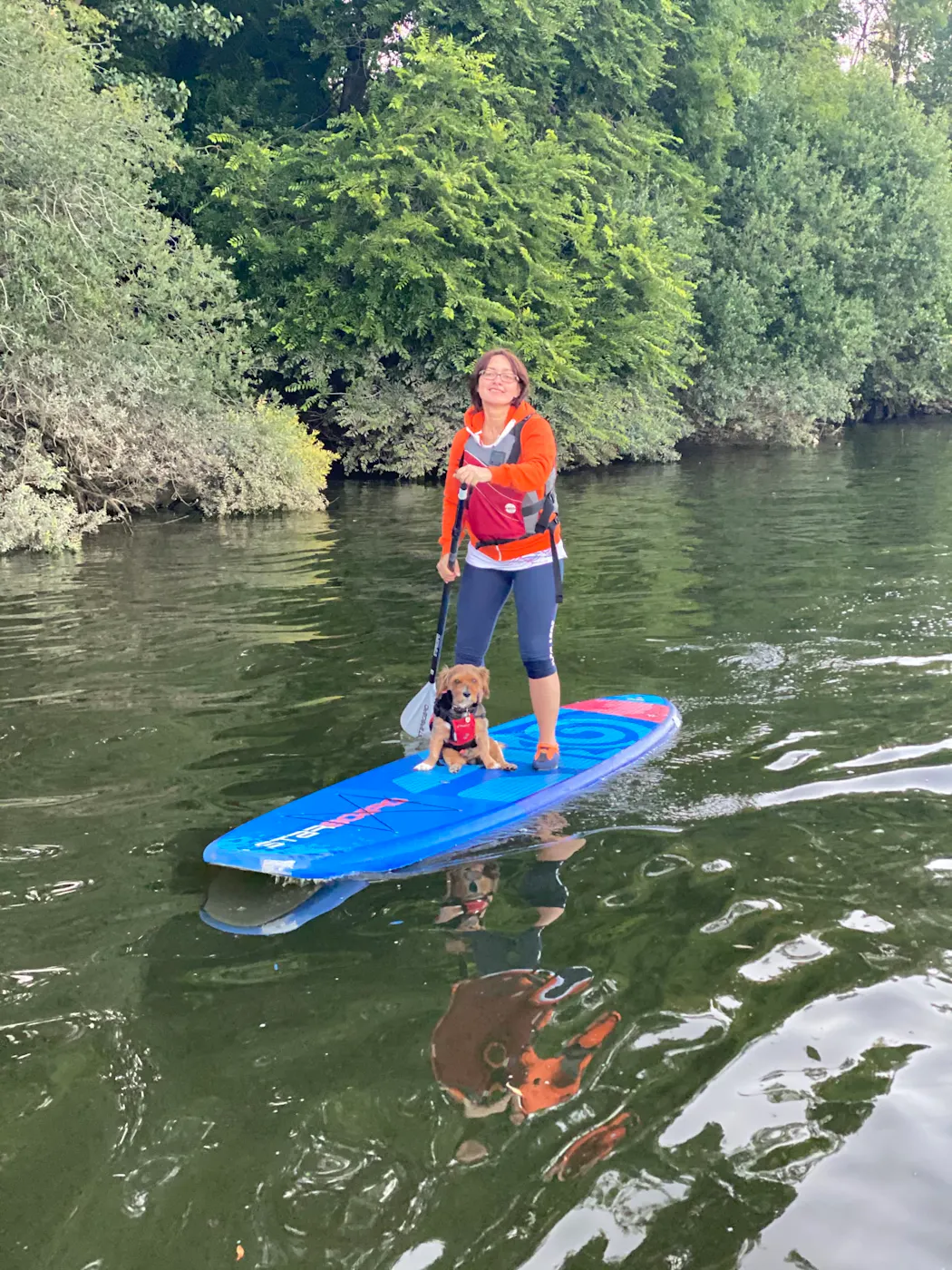 A woman paddleboarding on the Thames with her small dog in a lifejacket