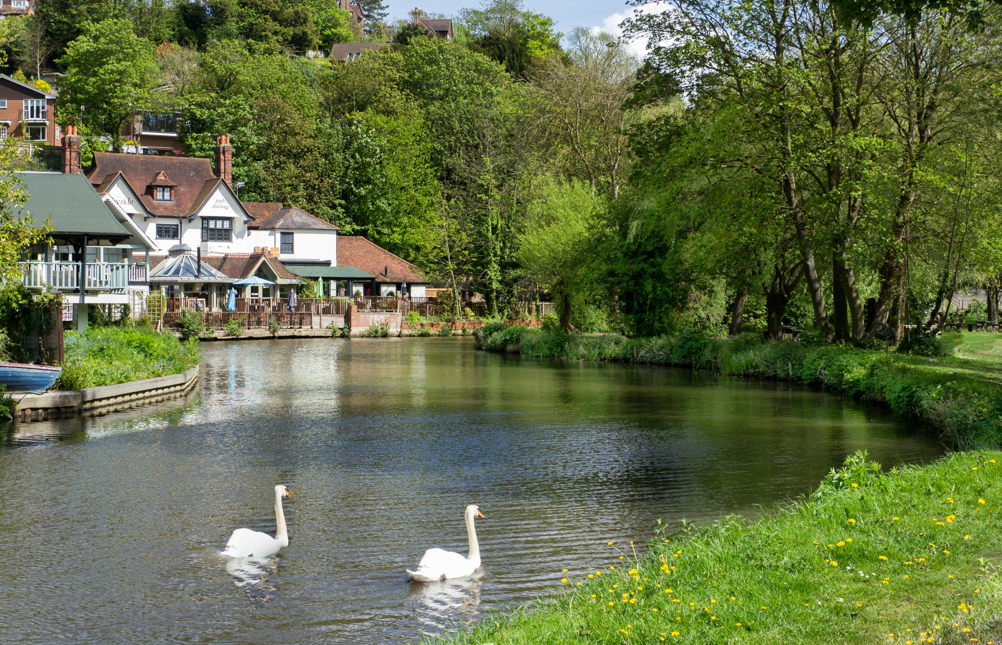 River Wey in Guildford