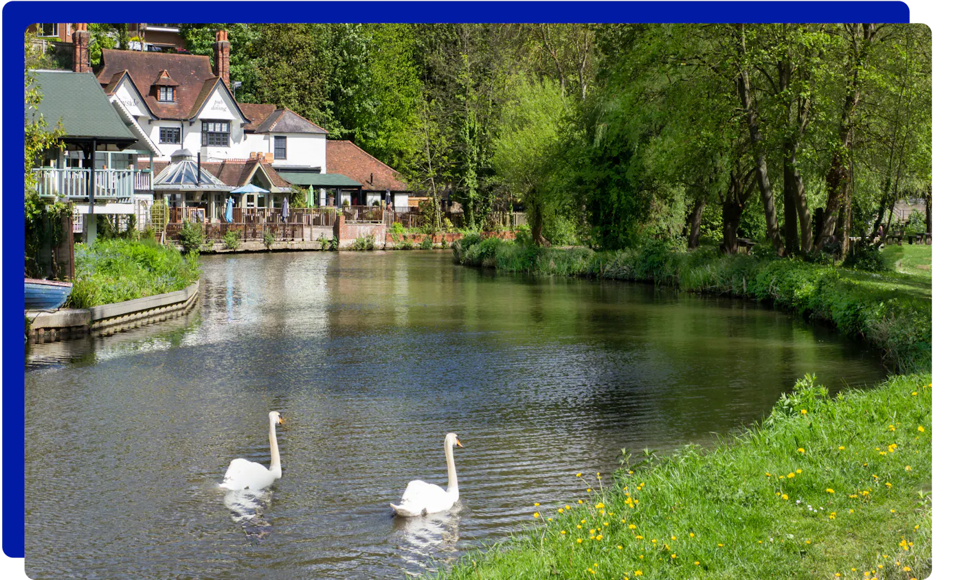 River Wey in Guildford