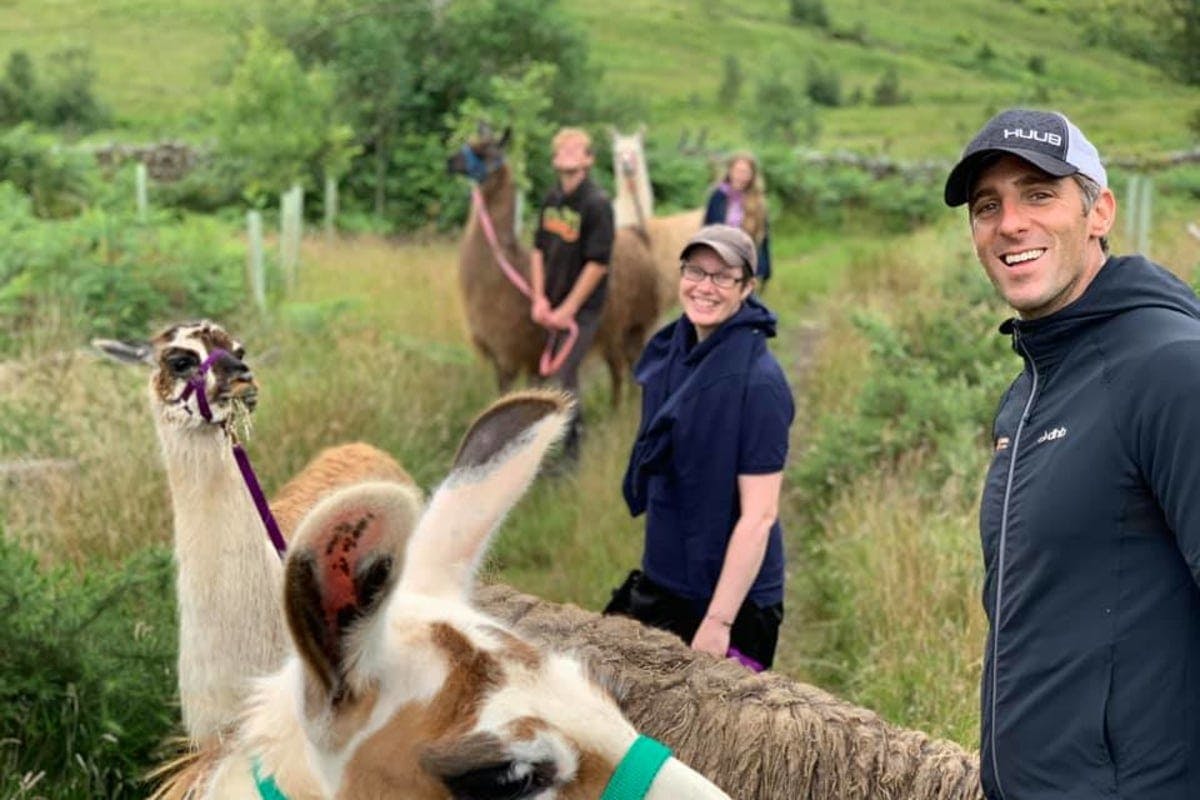 Book a Llama or Alpaca Trek at Woolly Farm