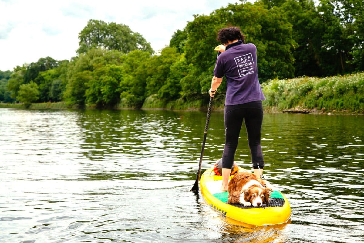 Back of Beyond SUP with PUP Richmond book