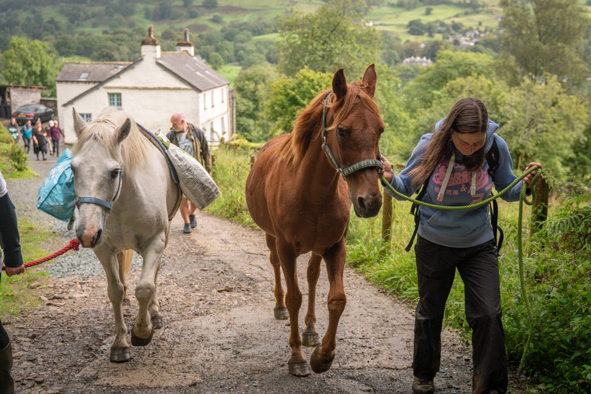 pony picnic lake district