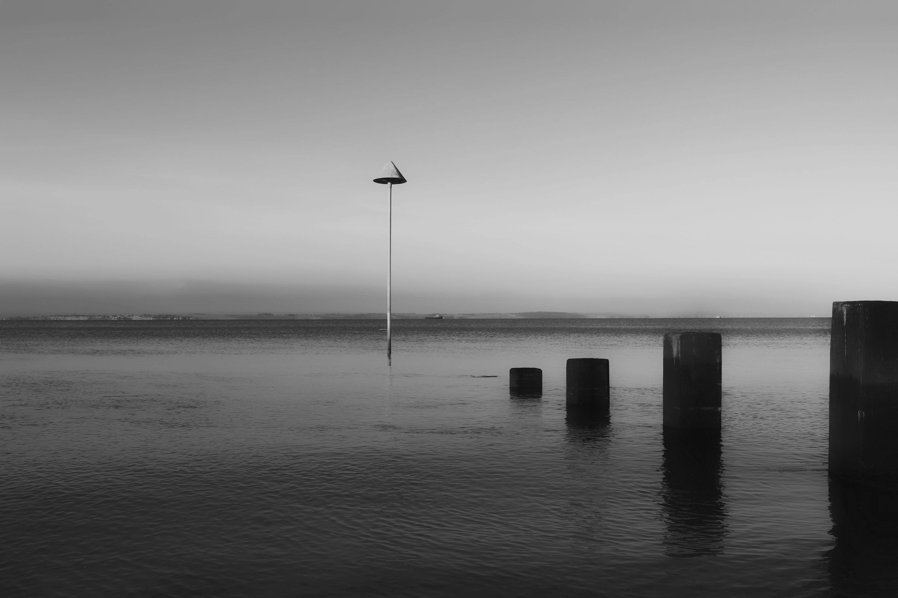 a bird on a pole in the middle of a body of water