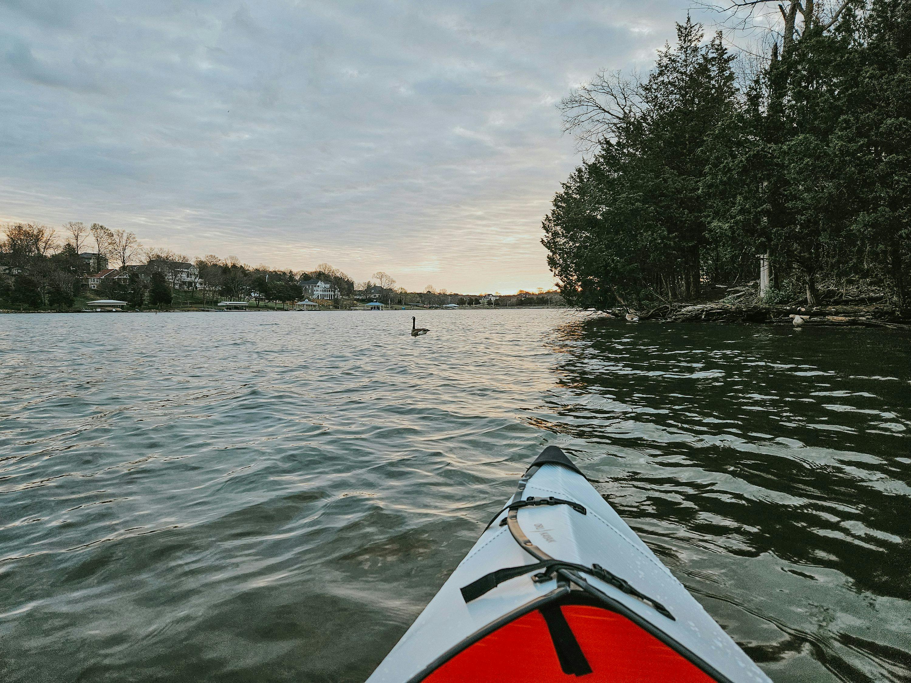 a view of a lake from a kayak