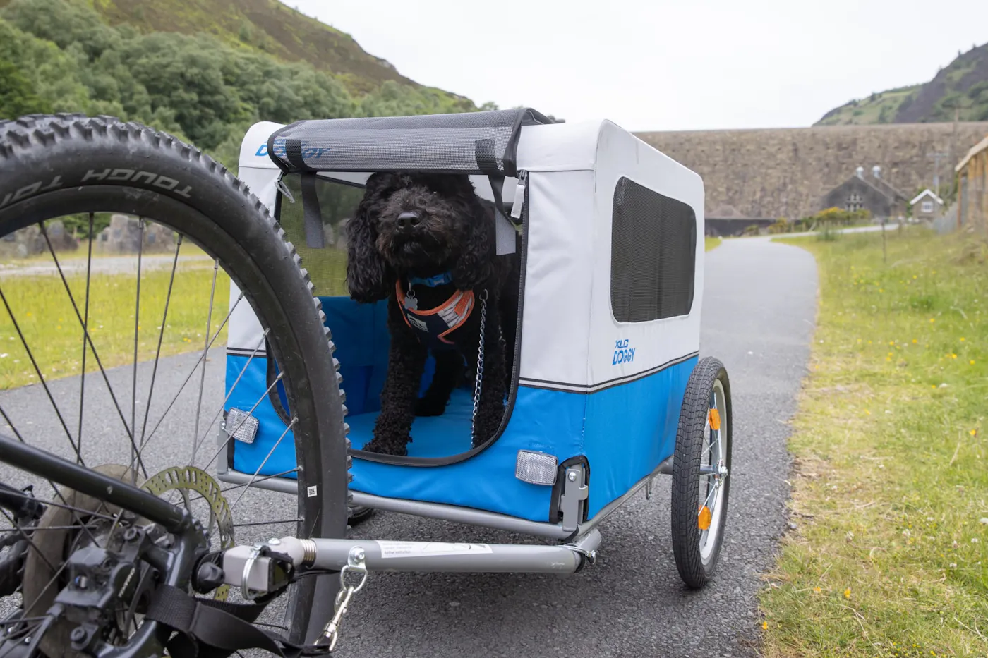 A black curly-haired dog sitting in a dog trailer behind a bike on the Elan Valley Trail
