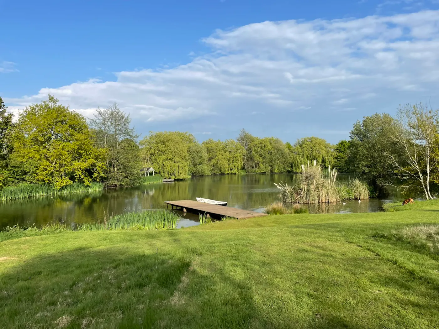A small private lake with a wooden jetty surrounded by trees in the Kent countryside near Tonbridge