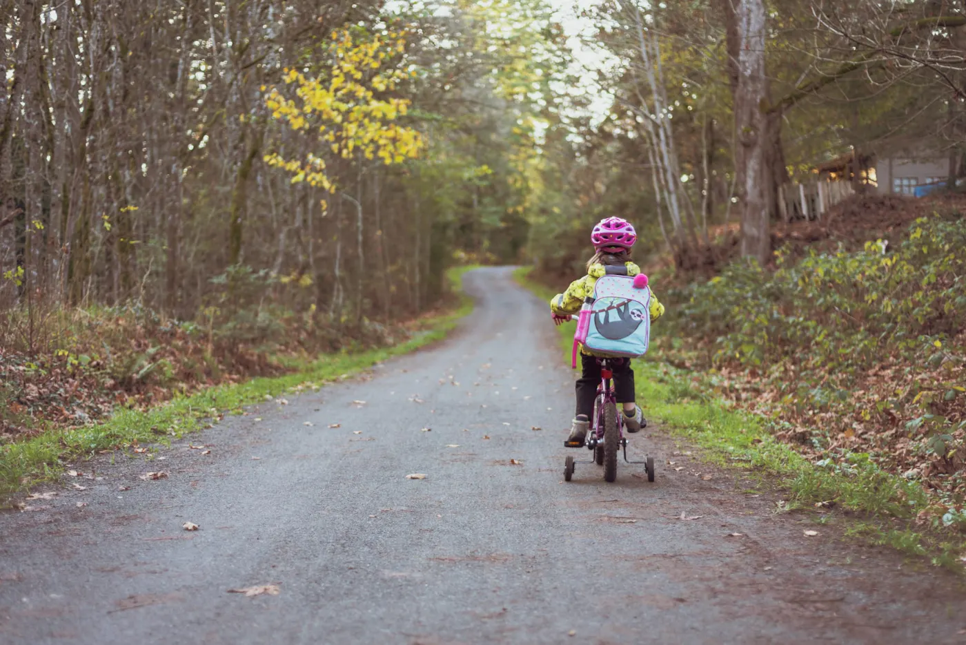 A young child in a pink helmet riding a small bike along a woodland track