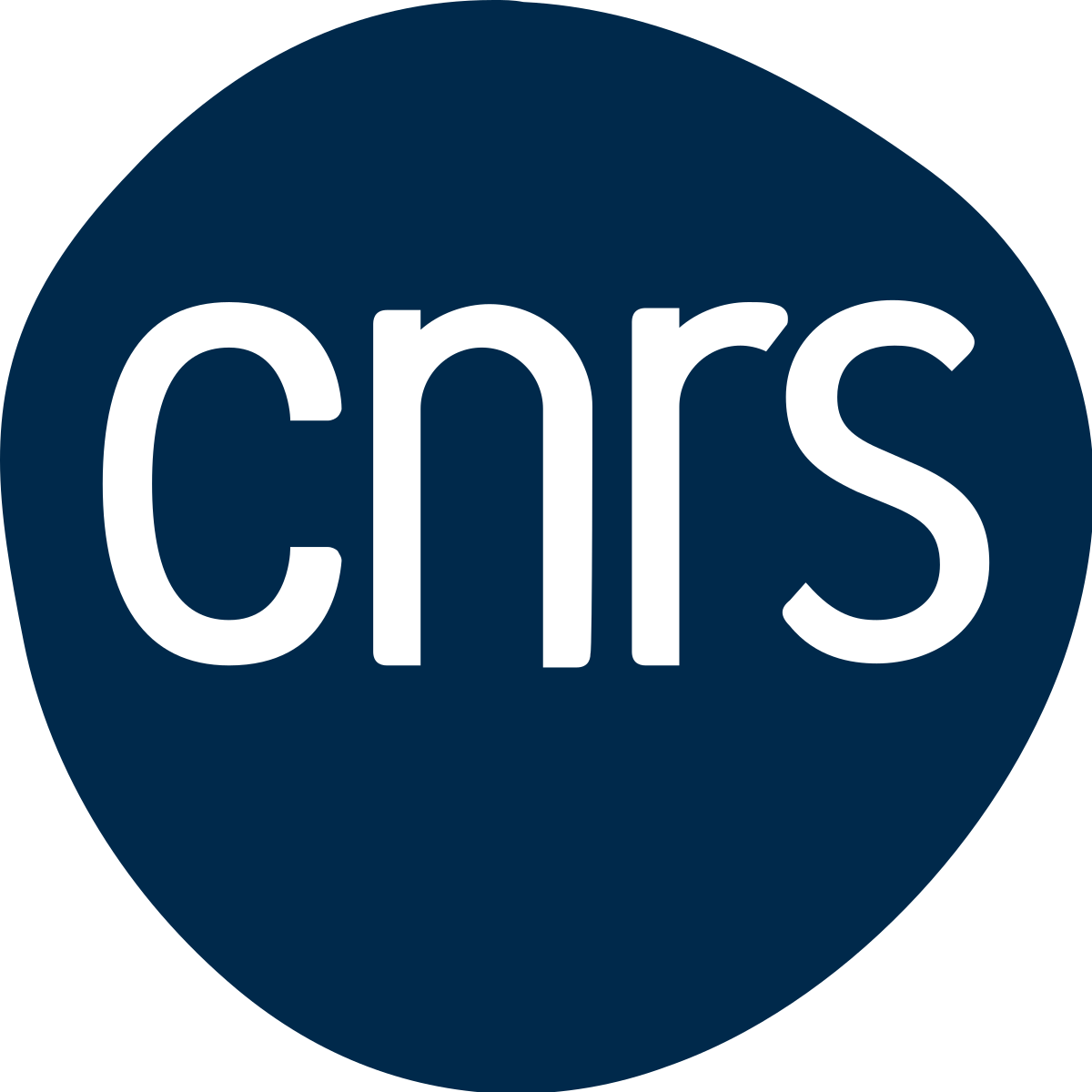 Logo CNRS bleu marine