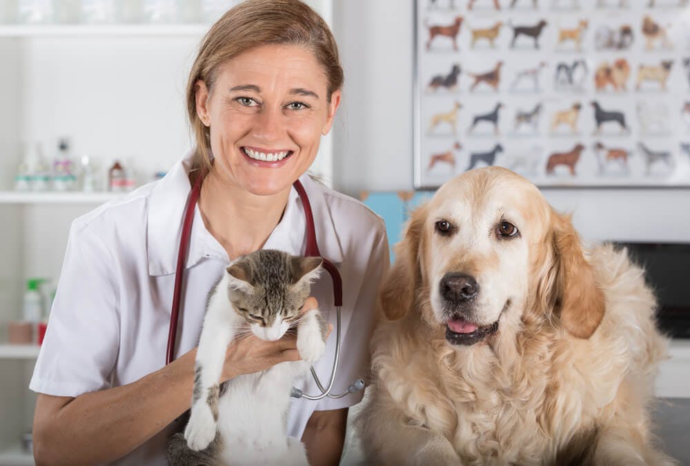 Come evitare la malattia renale cronica in cani e gatti?