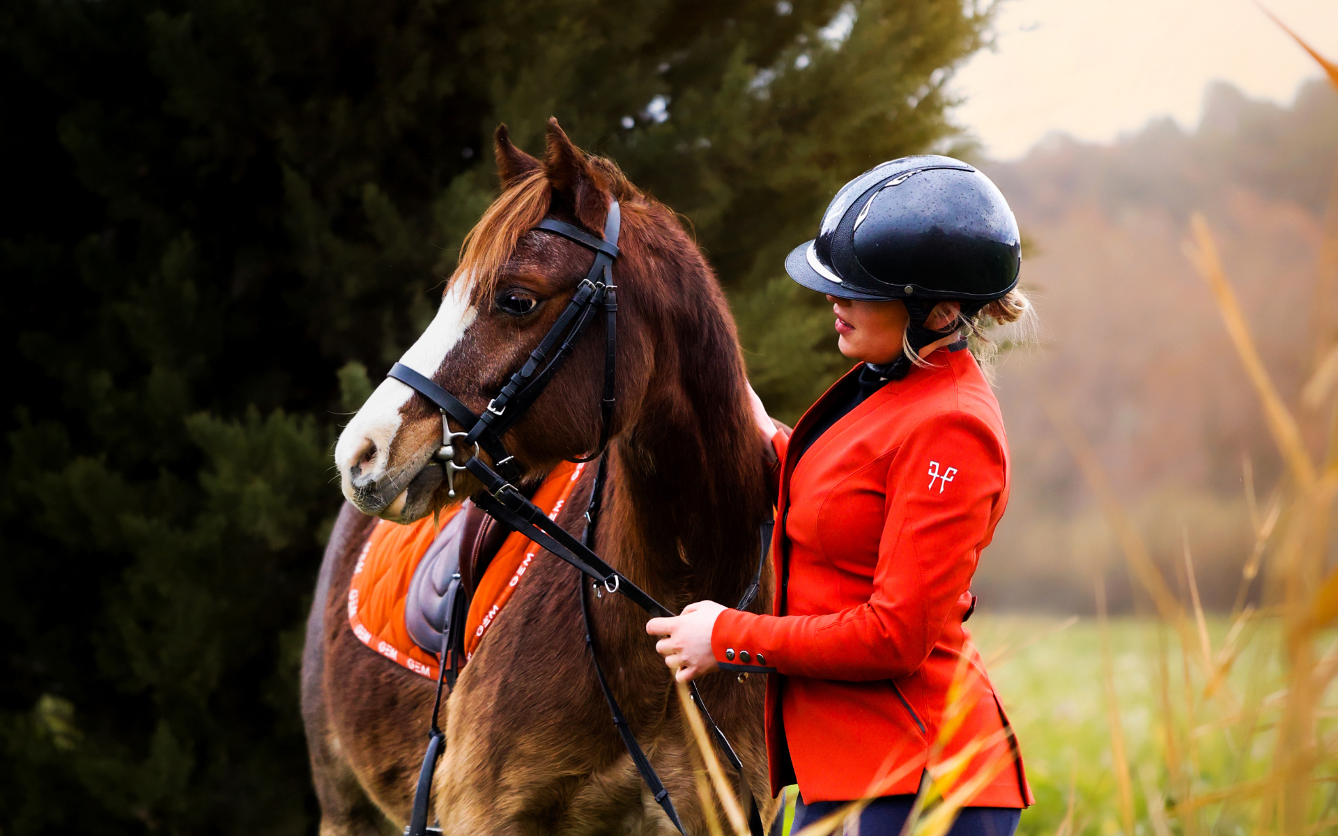 Bandeau Lizee desktop Abonnements