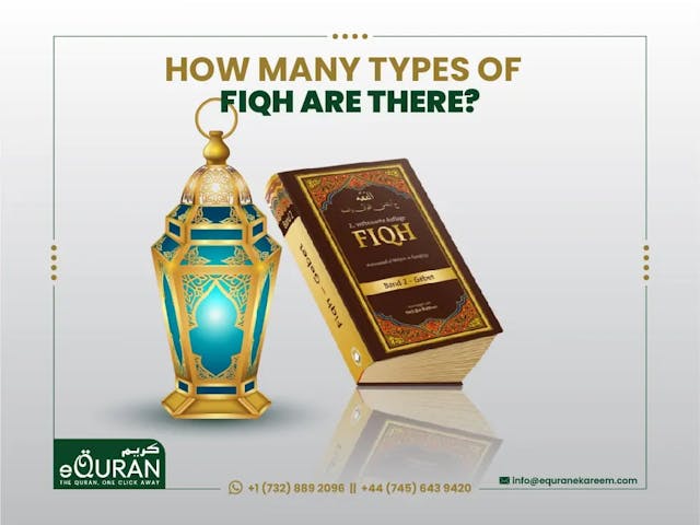 How many types of fiqh are there by eQuranekareem