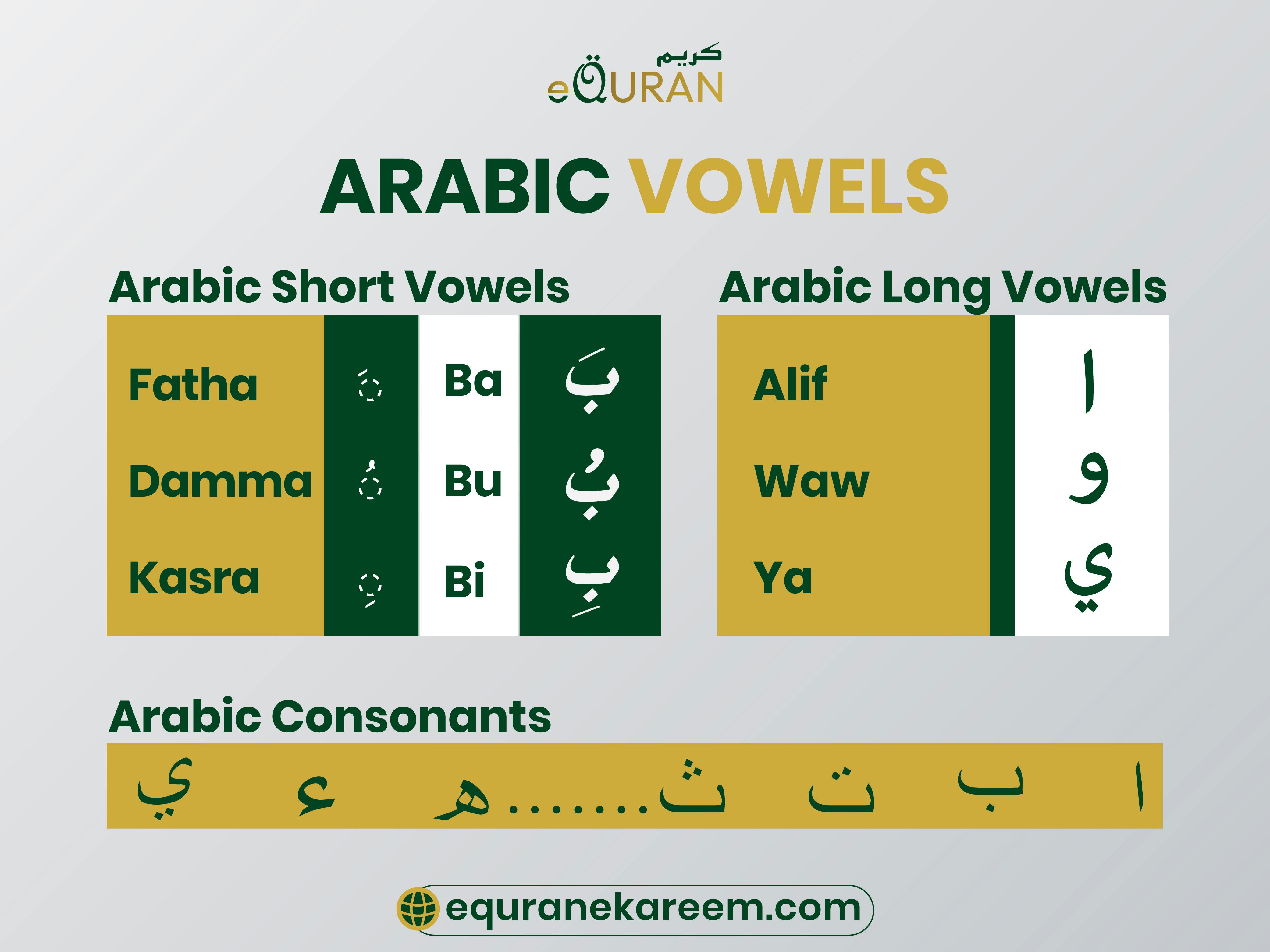 Arabic vowels the difference between Arabic Short vowels and long vowels in Arabic Language