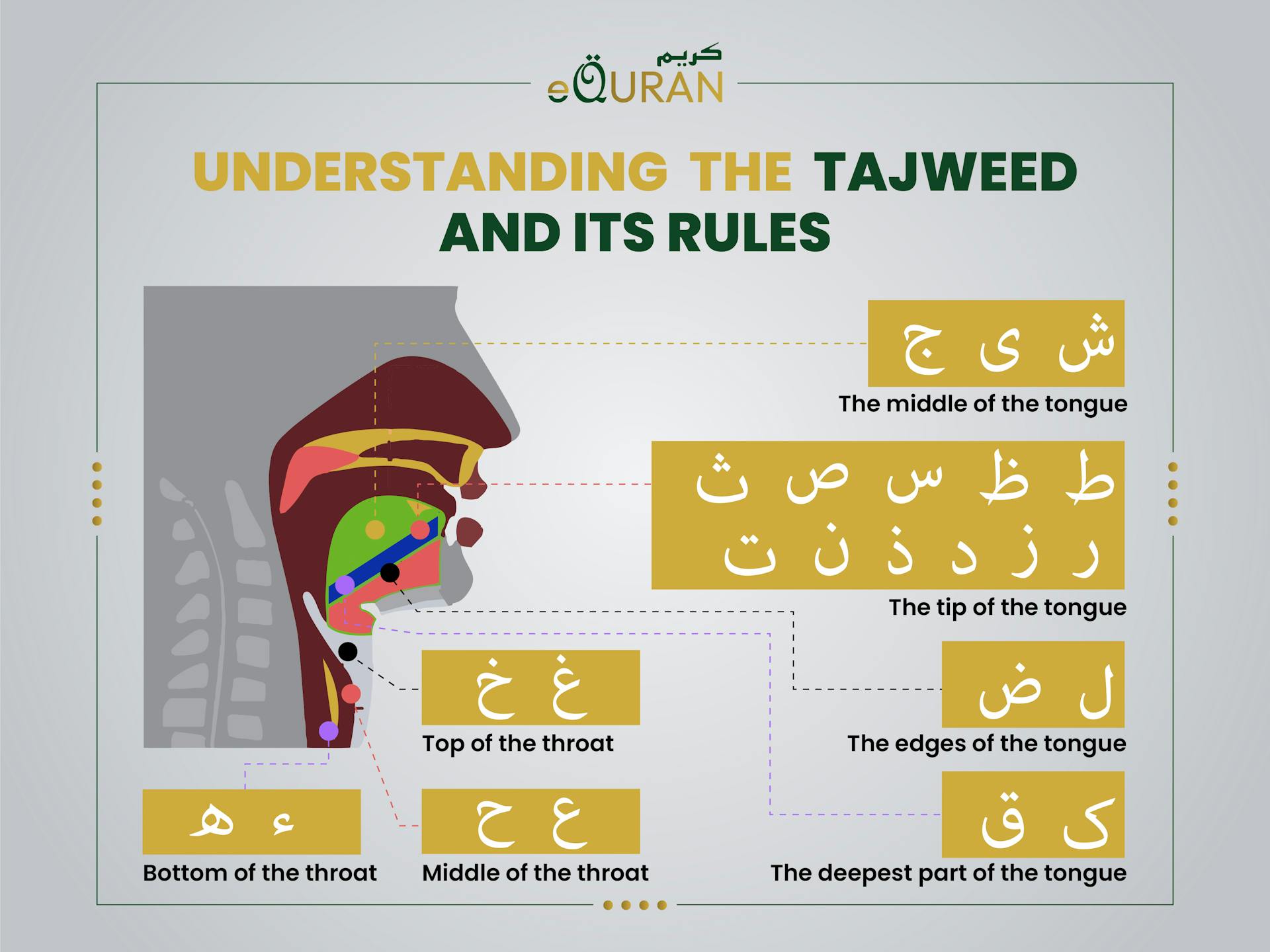 Understanding The Tajweed and Its Rules