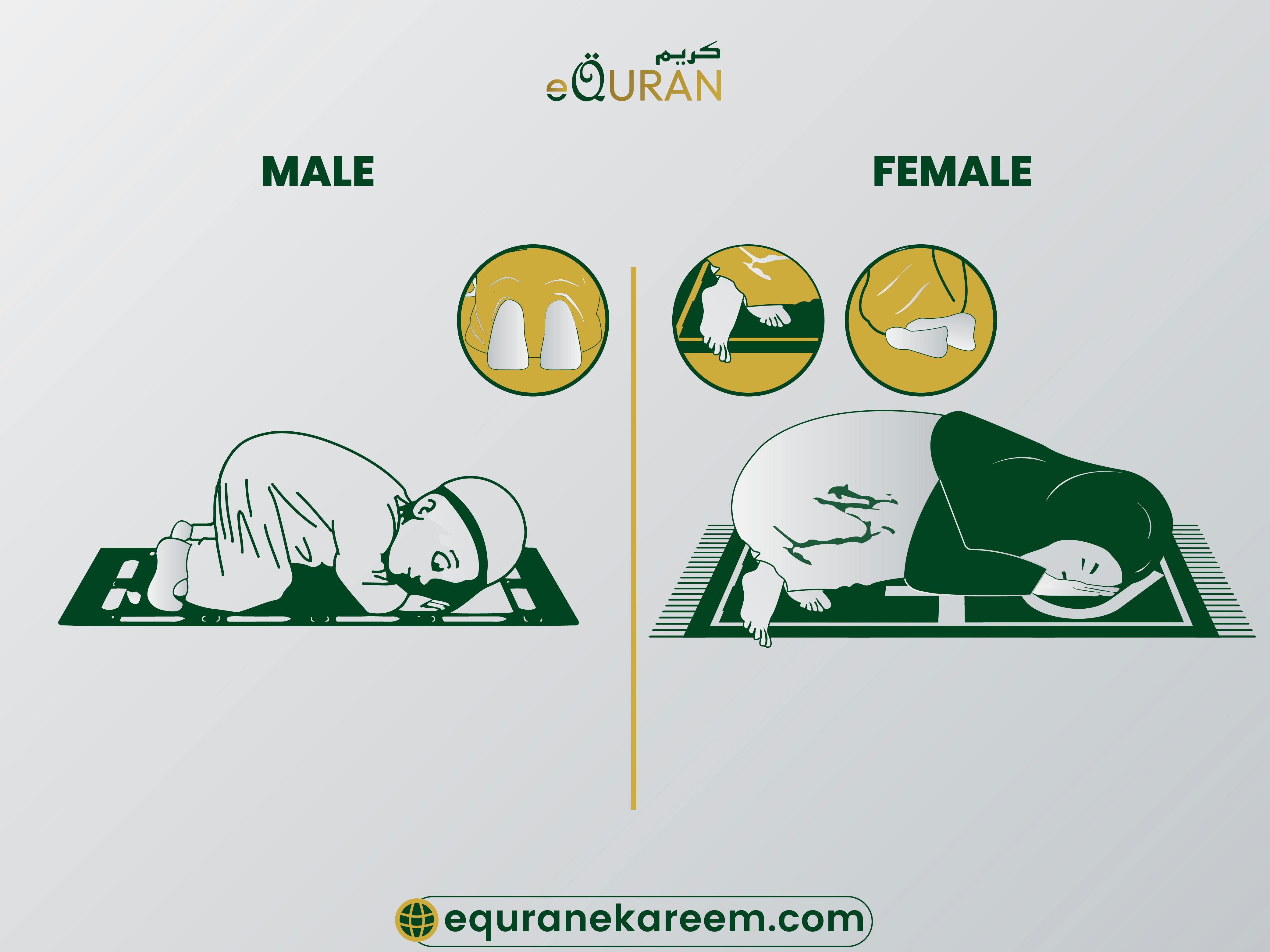 sujood position  say سُبْحَانَ رَبِّيَ الأَعْلَى 3 times