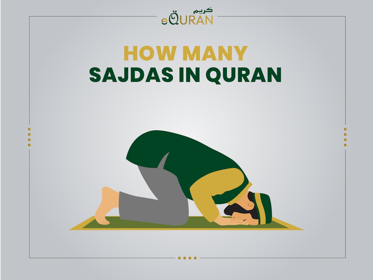 Learn about theh word Sajdah while reading Sajda e Tilawat or How Many Sajda In Quran




