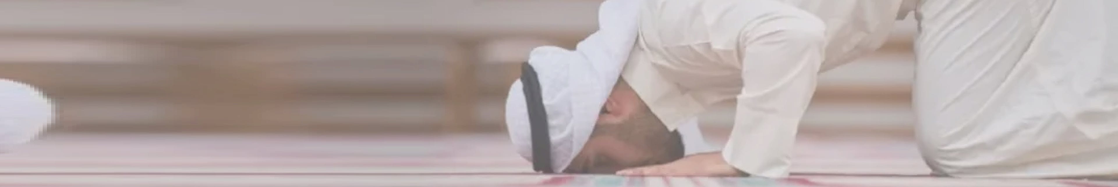 How Many Sajda In Quran or the Surah Sajdah  across the word Sajdah while reading the Quran.