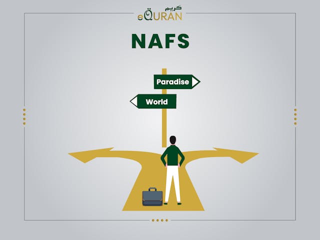 Learn the types of Nafs, Nafs Meaning

and the detailed explaniation of Nafs In Islam


