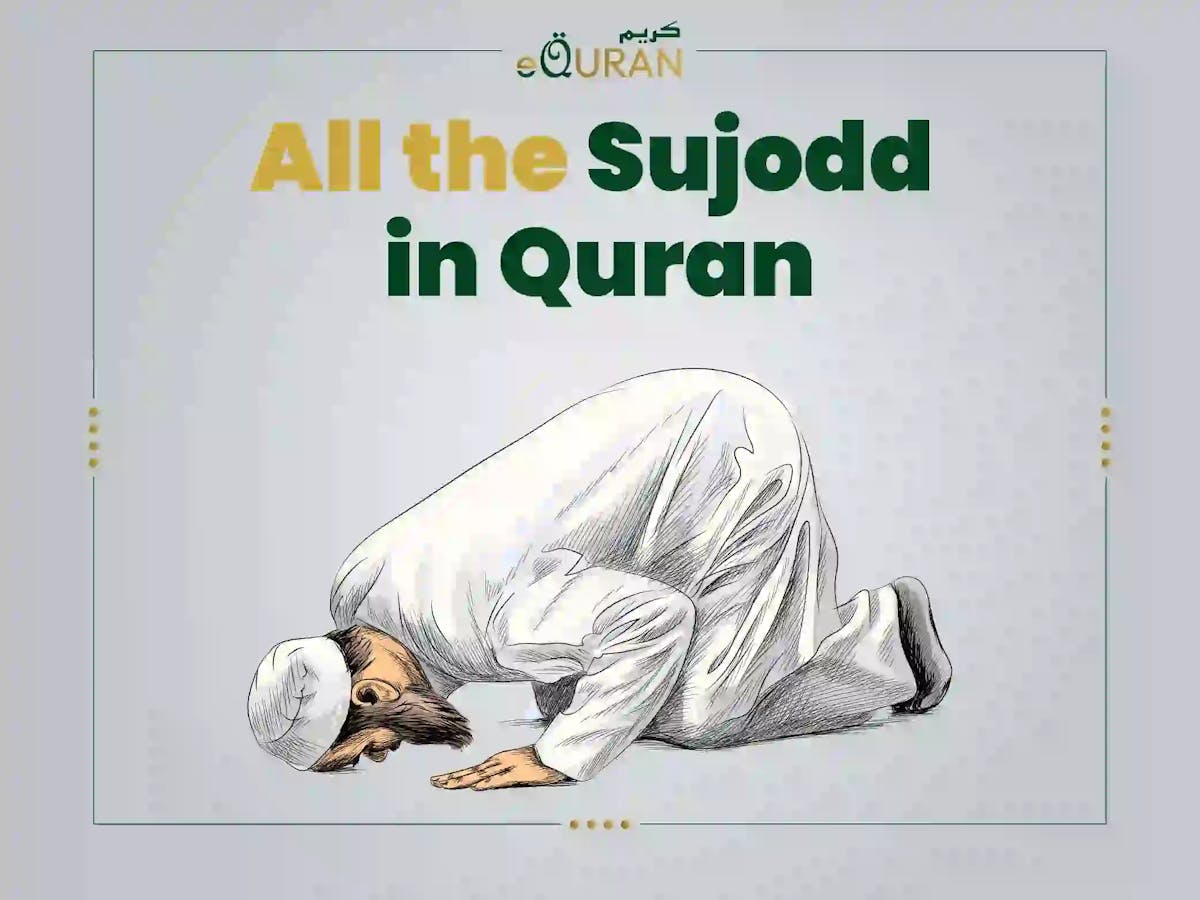 All the sujodd in Quran