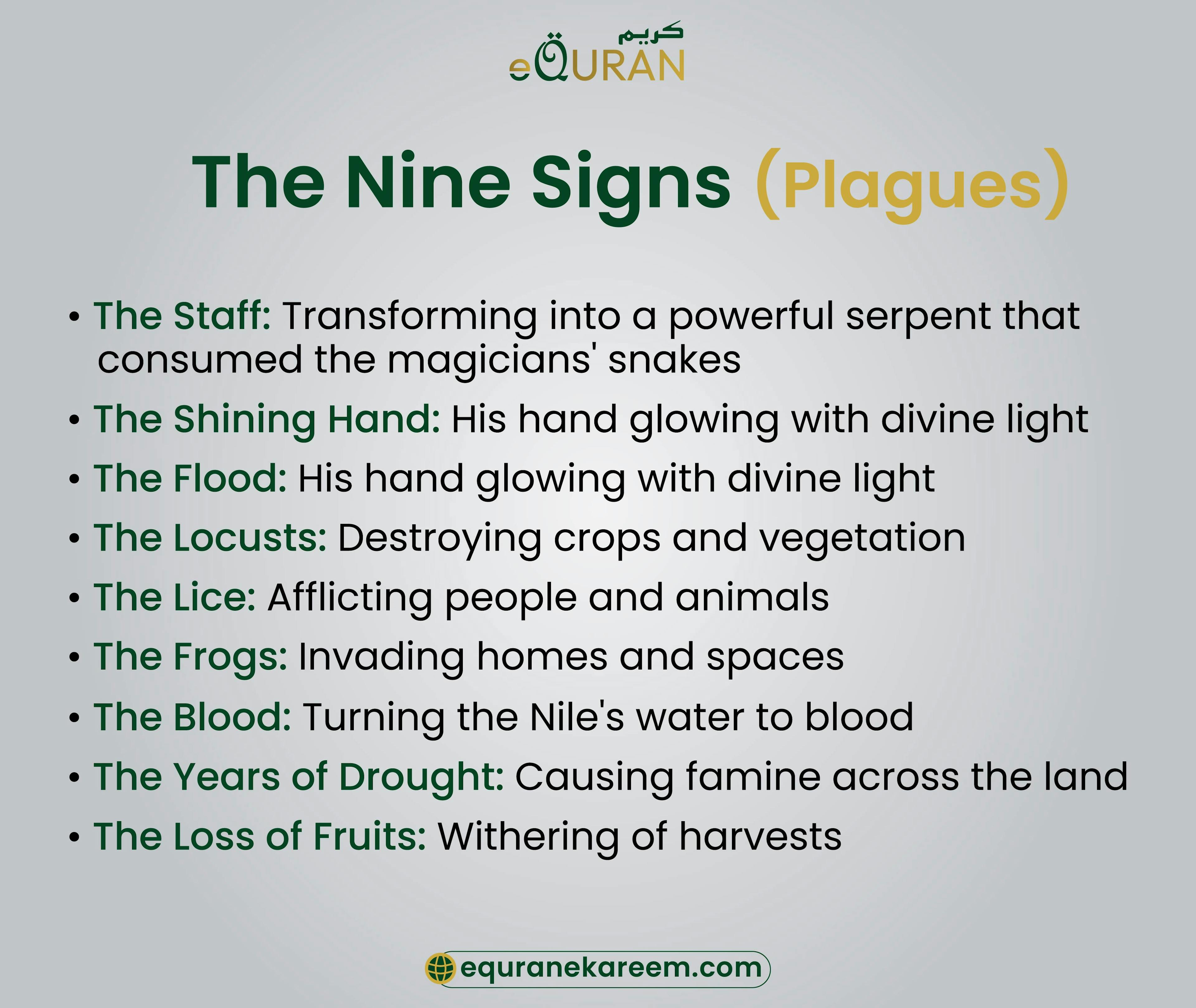 The Nine Miraculous Signs (Plagues)