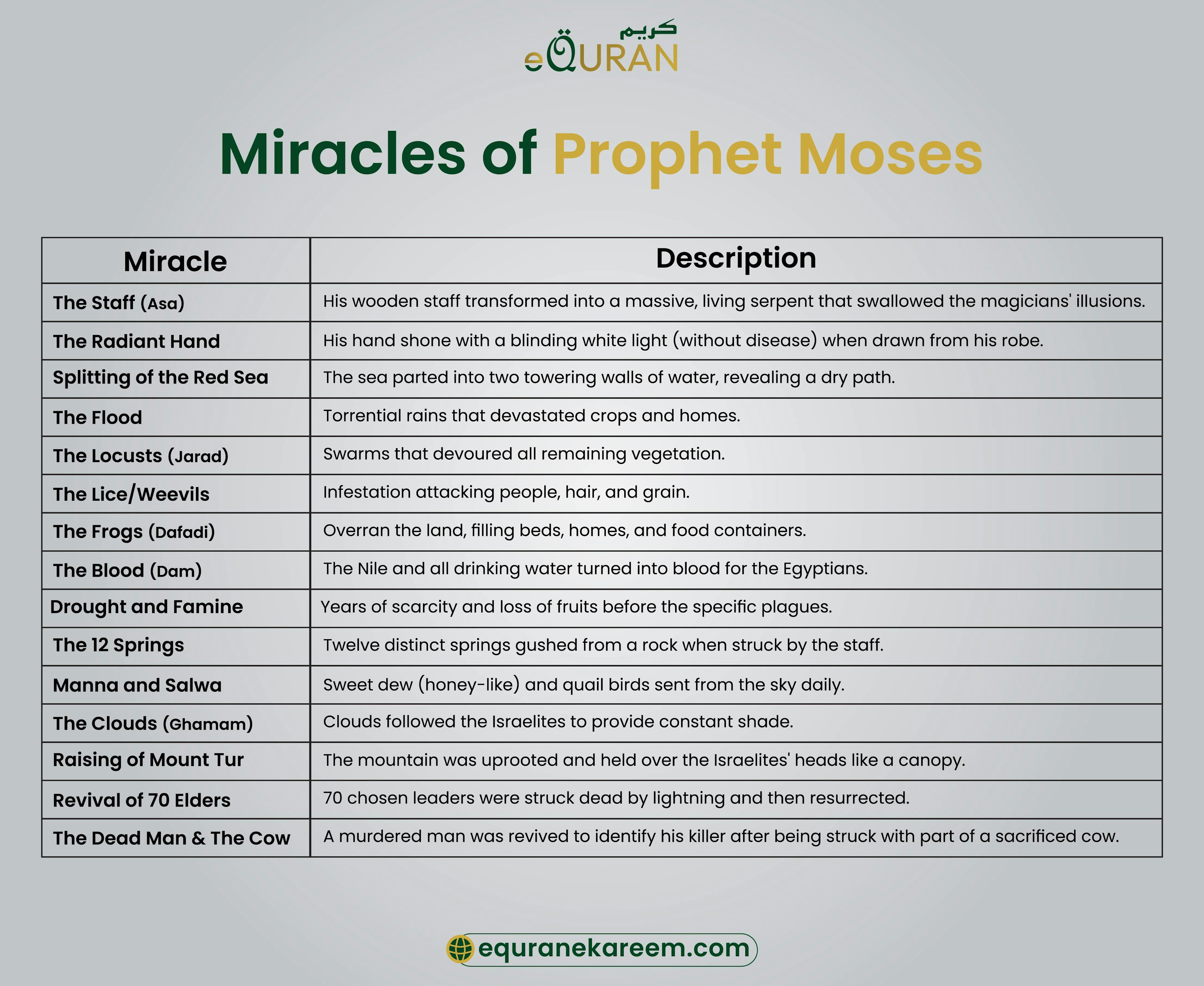 Miracles of Prophet Moses