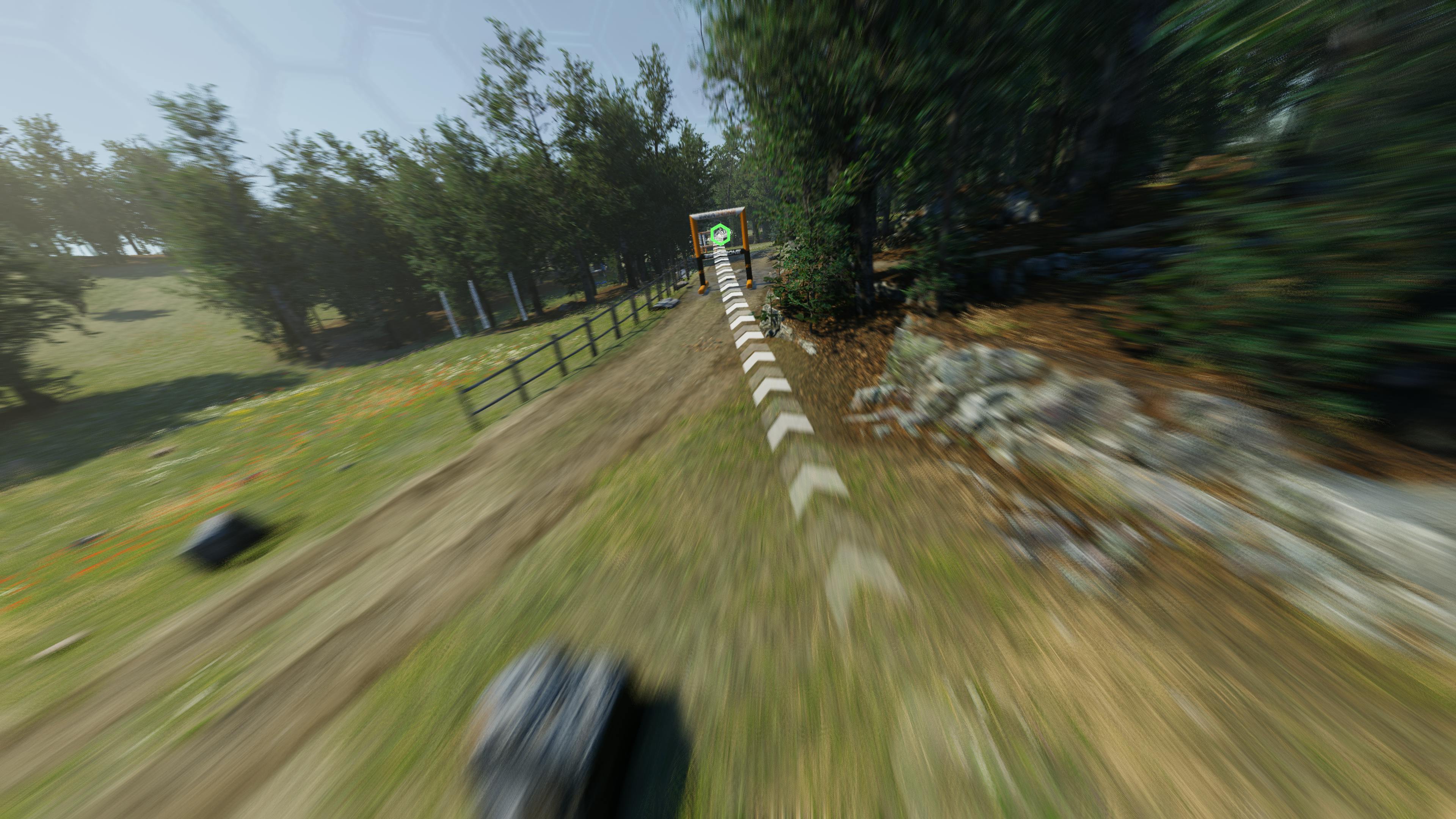 Racing in the Meadow environment