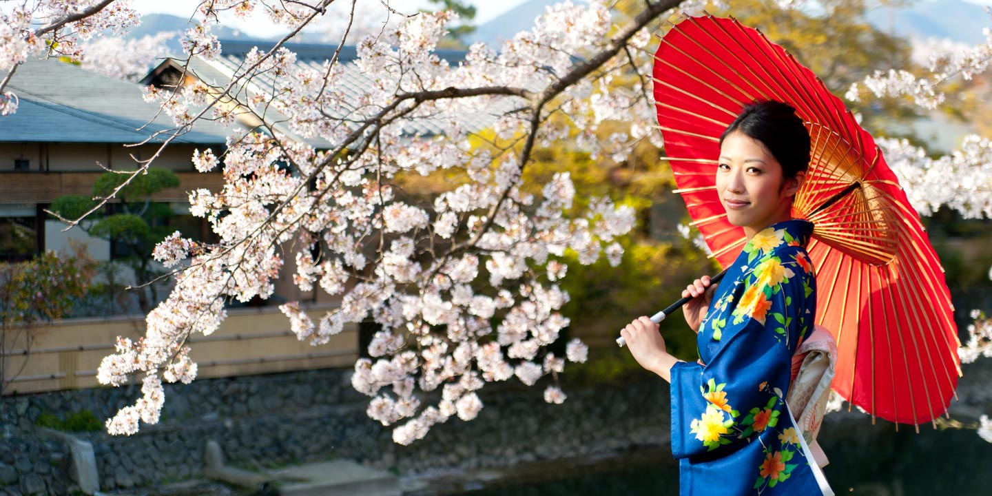 Japansk kvinna med rött paraply vid vacker körsbärsblom.
