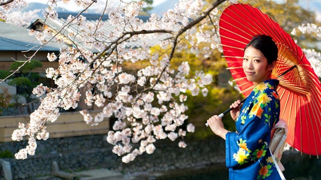 Japansk kvinna med rött paraply vid vacker körsbärsblom.